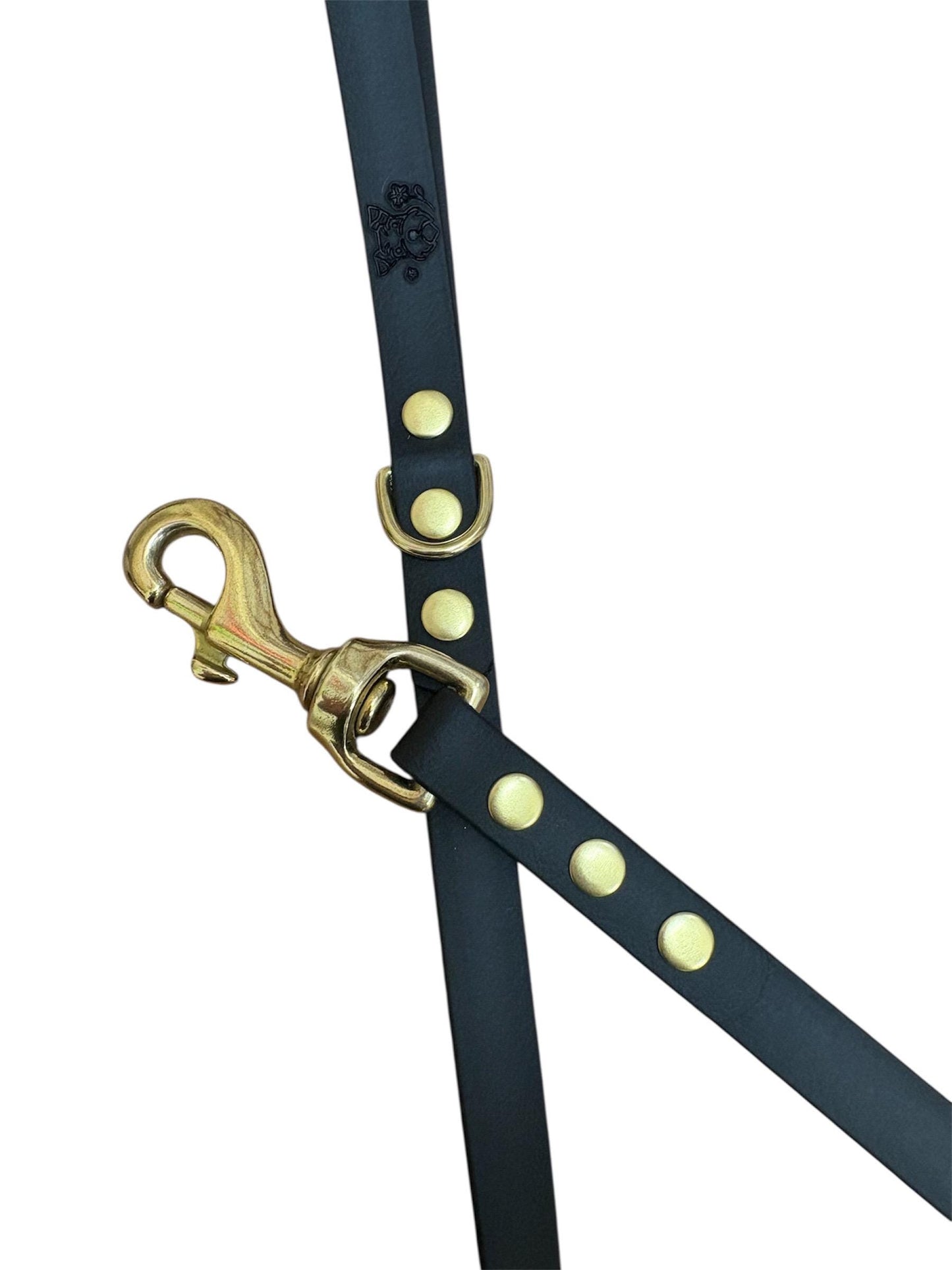 Black Biothane Dog Lead: Waterproof with Solid Brass Hardware