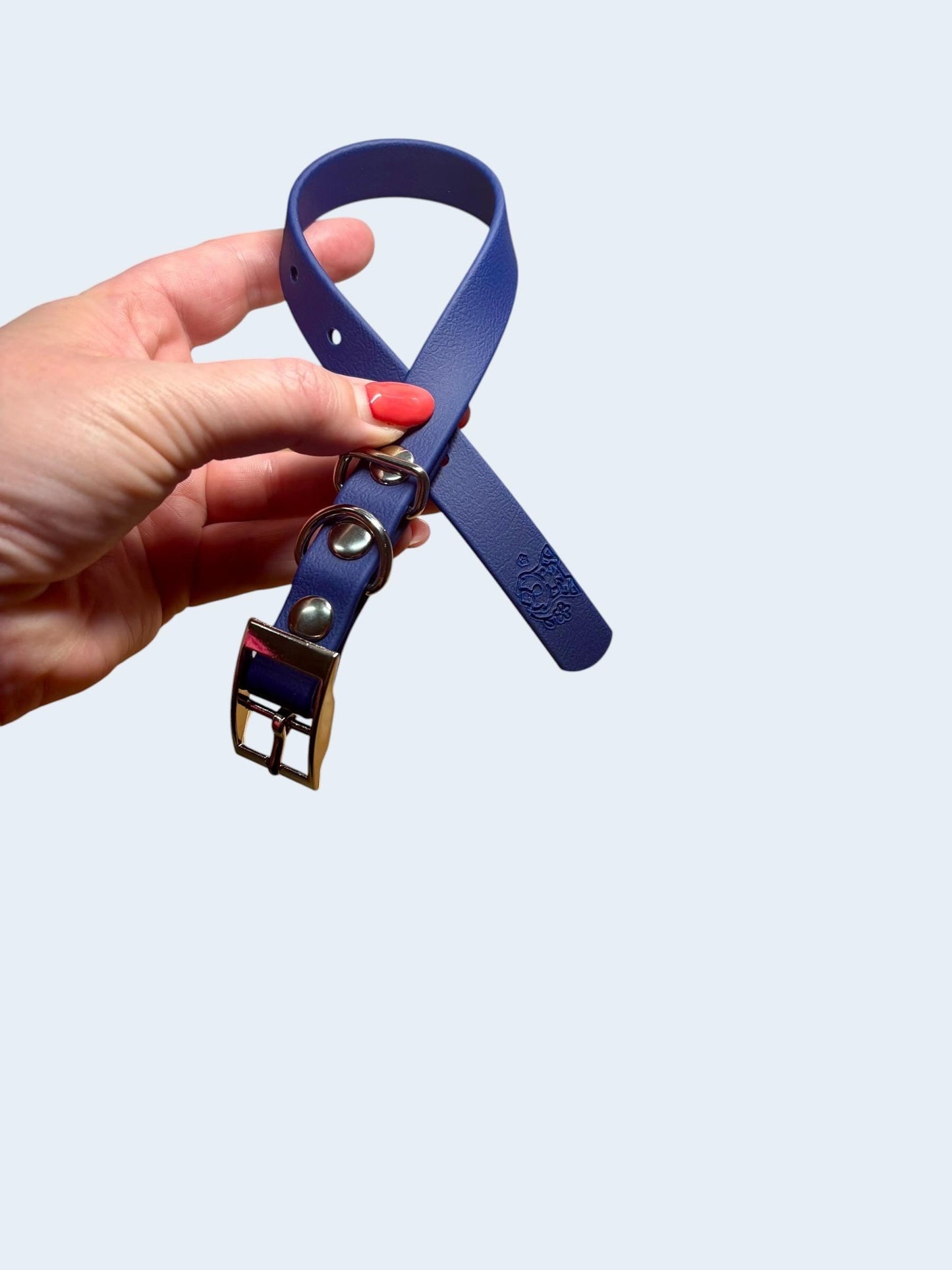 Waterproof Dog Collar - Choose Your Colour and Hardware