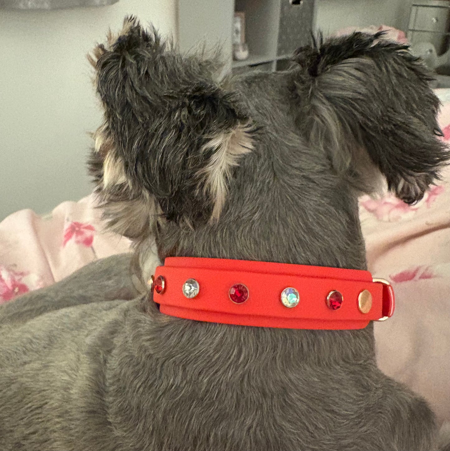 Crystal Rhinestone Diamanté Waterproof Dog Collar Red with Rose Gold Hardware - Sparkle Collection