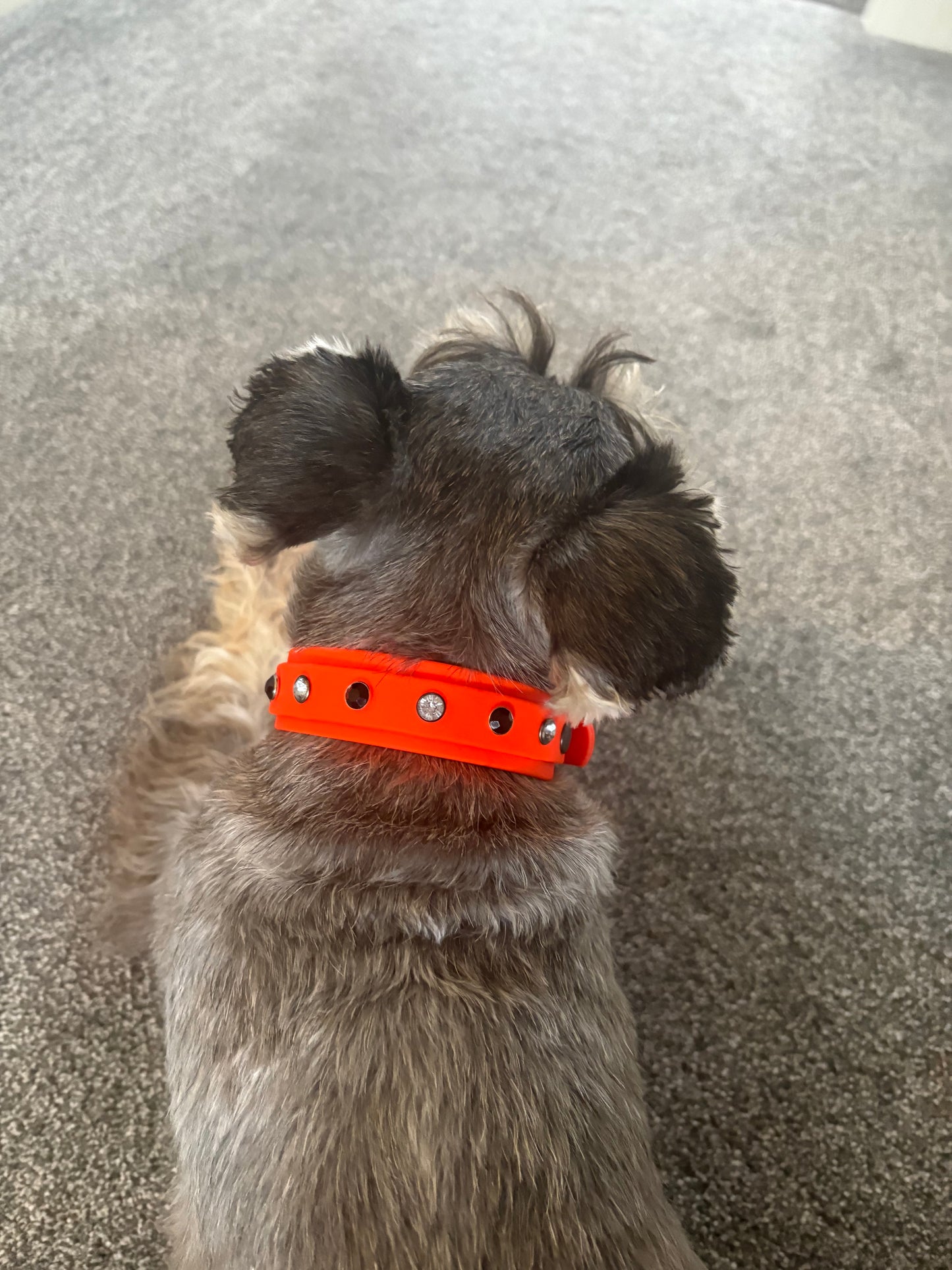 Biothane Crystal Rhinestone Diamanté Dog Collar Neon Orange with Black Hardware - Sparkle Collection