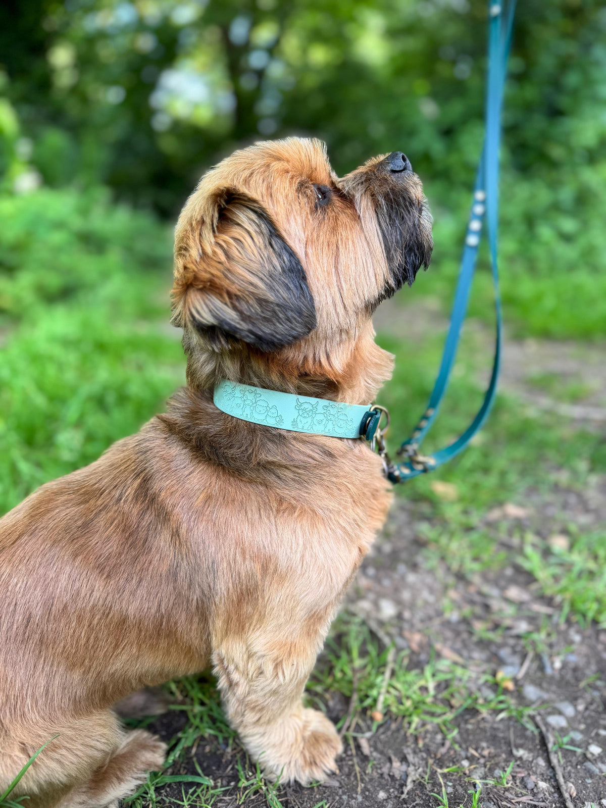 Farmyard Friends Collection Embossed Dog Collar