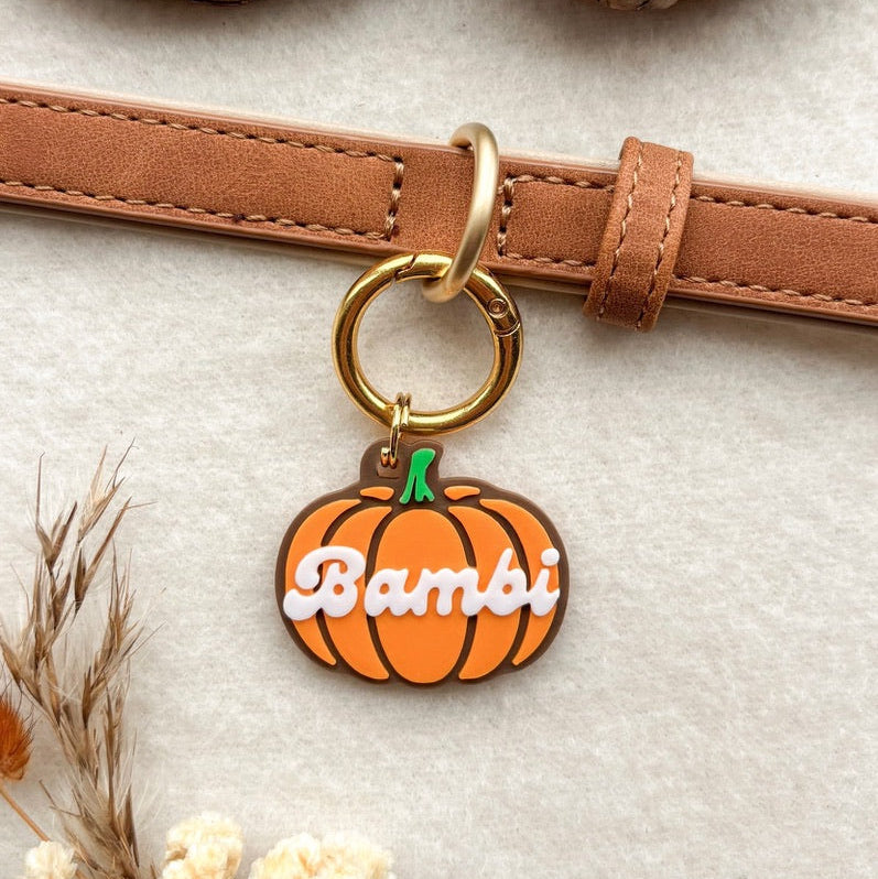 Pumpkin Tag