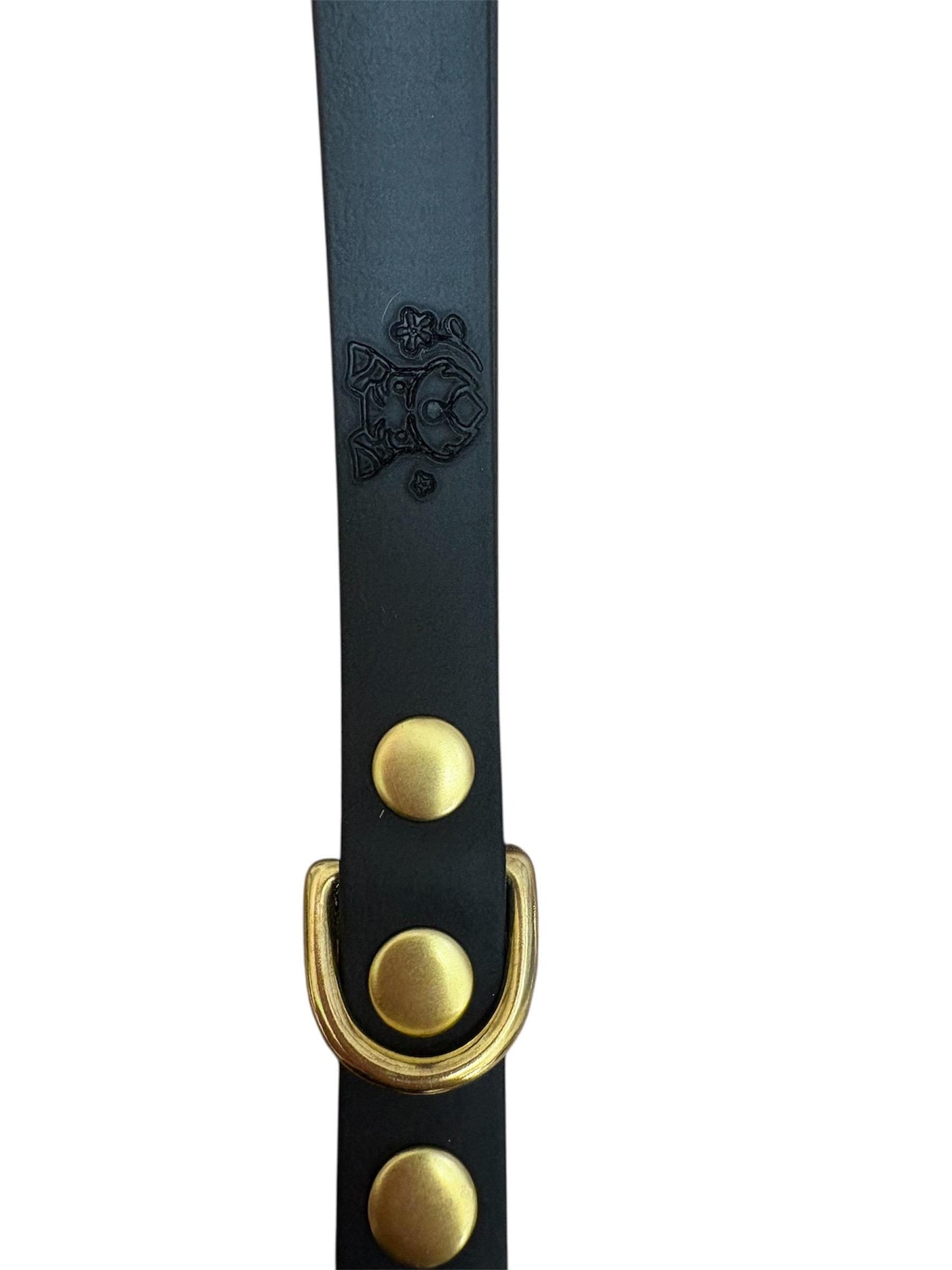 Black Biothane Dog Lead: Waterproof with Solid Brass Hardware
