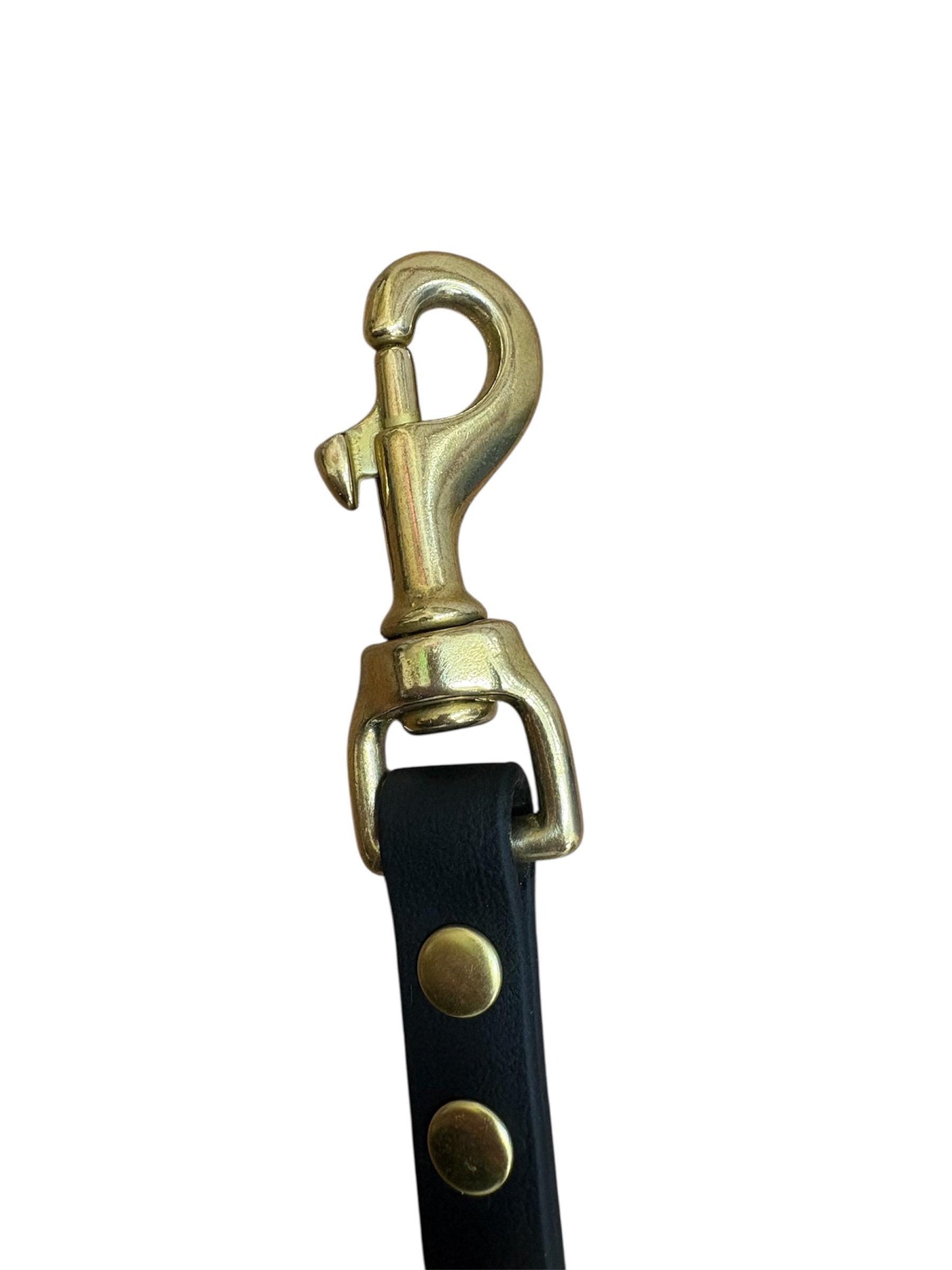 Black Biothane Dog Lead: Waterproof with Solid Brass Hardware