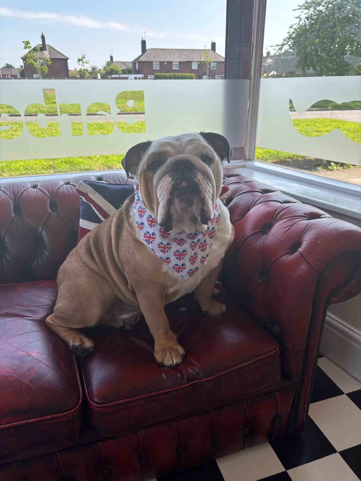 Elastic Scrunchie Dog Bandana – Union Jack Heart Print – Easy Slip-On Overhead Neckwear