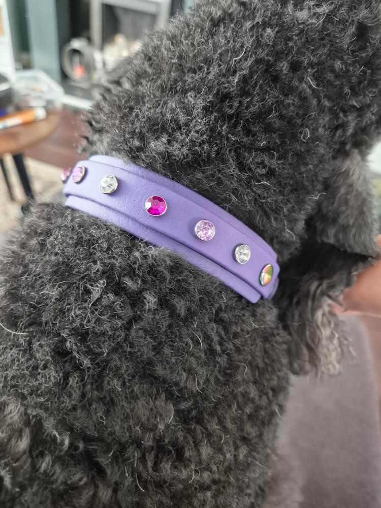 Biothane Crystal Rhinestone Diamanté Dog Collar Violet with Rainbow Hardware - Sparkle Collection