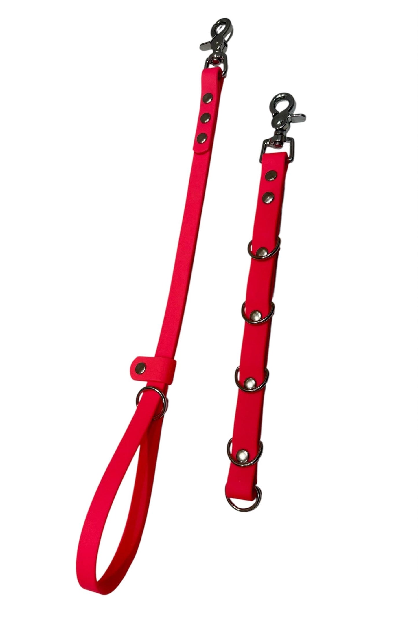 Waterproof Dog Grooming Noose with Extender and Belly Strap: Easy-Clean Webbing Silver Hardware