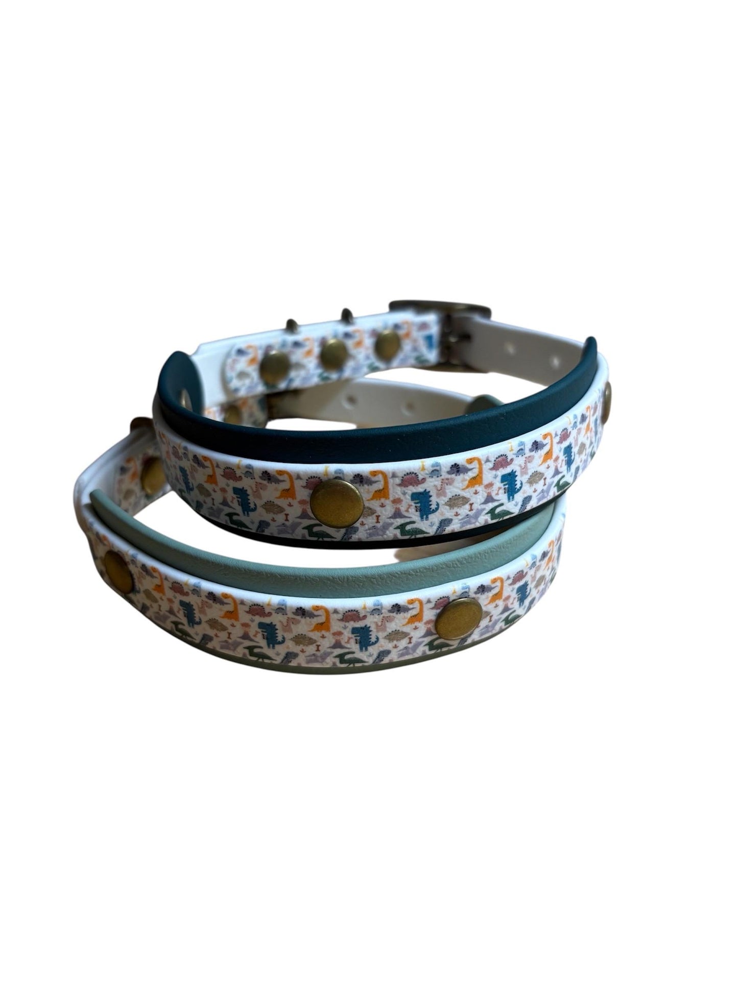 Dinosaur Biothane Dog Collar: Waterproof, Choice of Backing