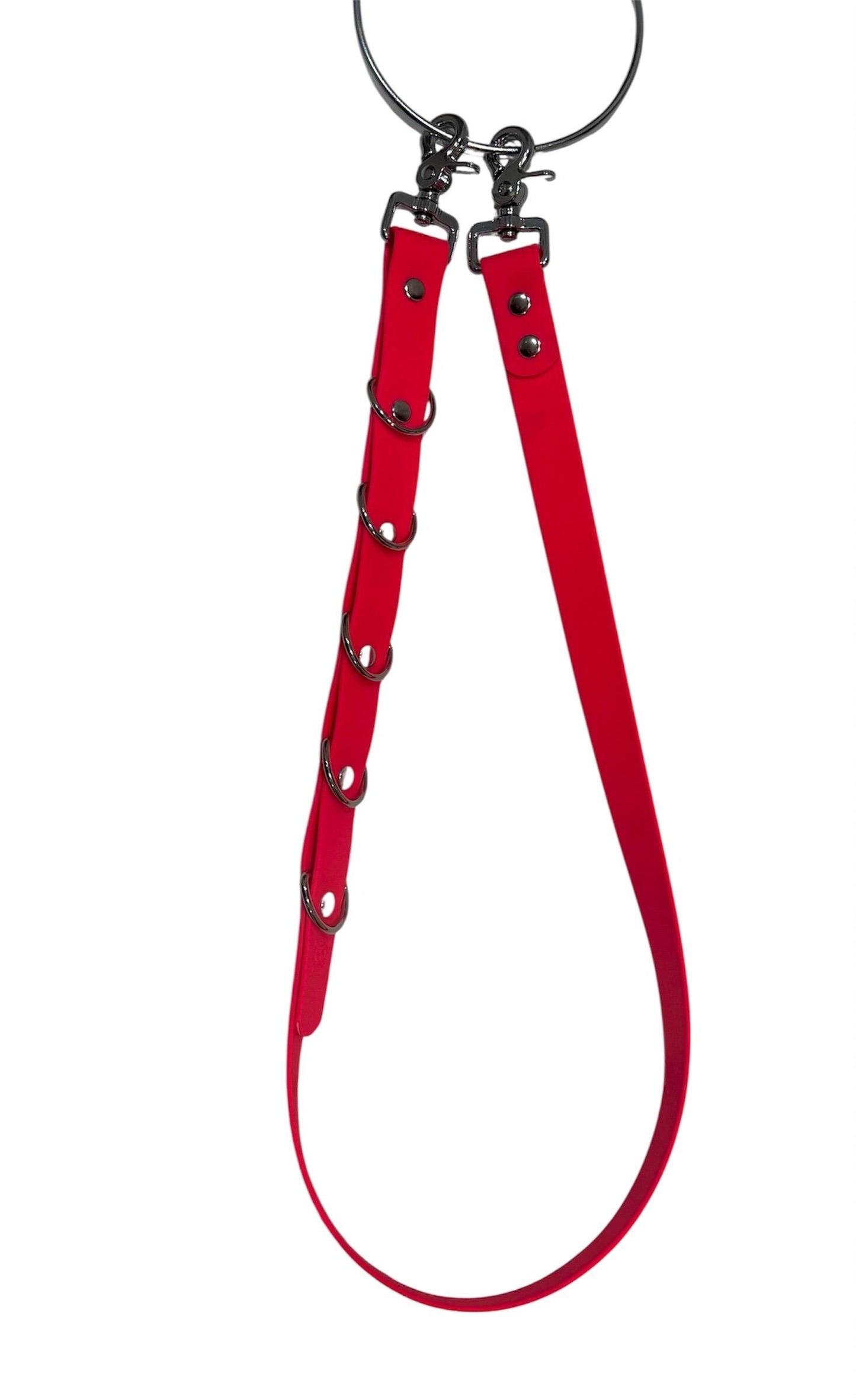 Waterproof Dog Grooming Noose with Extender and Belly Strap: Easy-Clean Webbing Silver Hardware