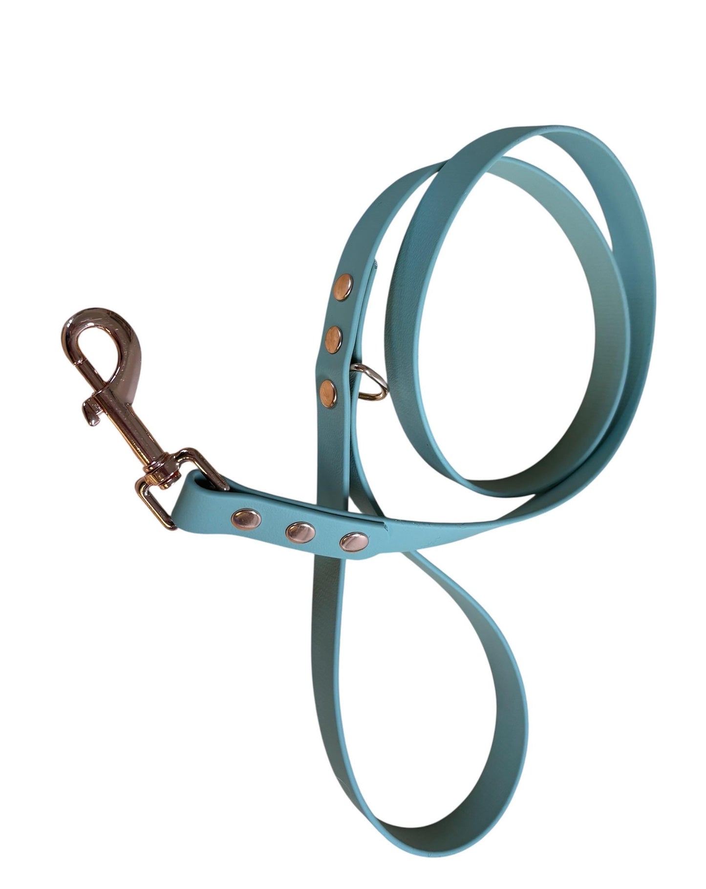 Waterproof Lead Regular (20mm Wide) Dog Lead with Choices of Colour & Hardware