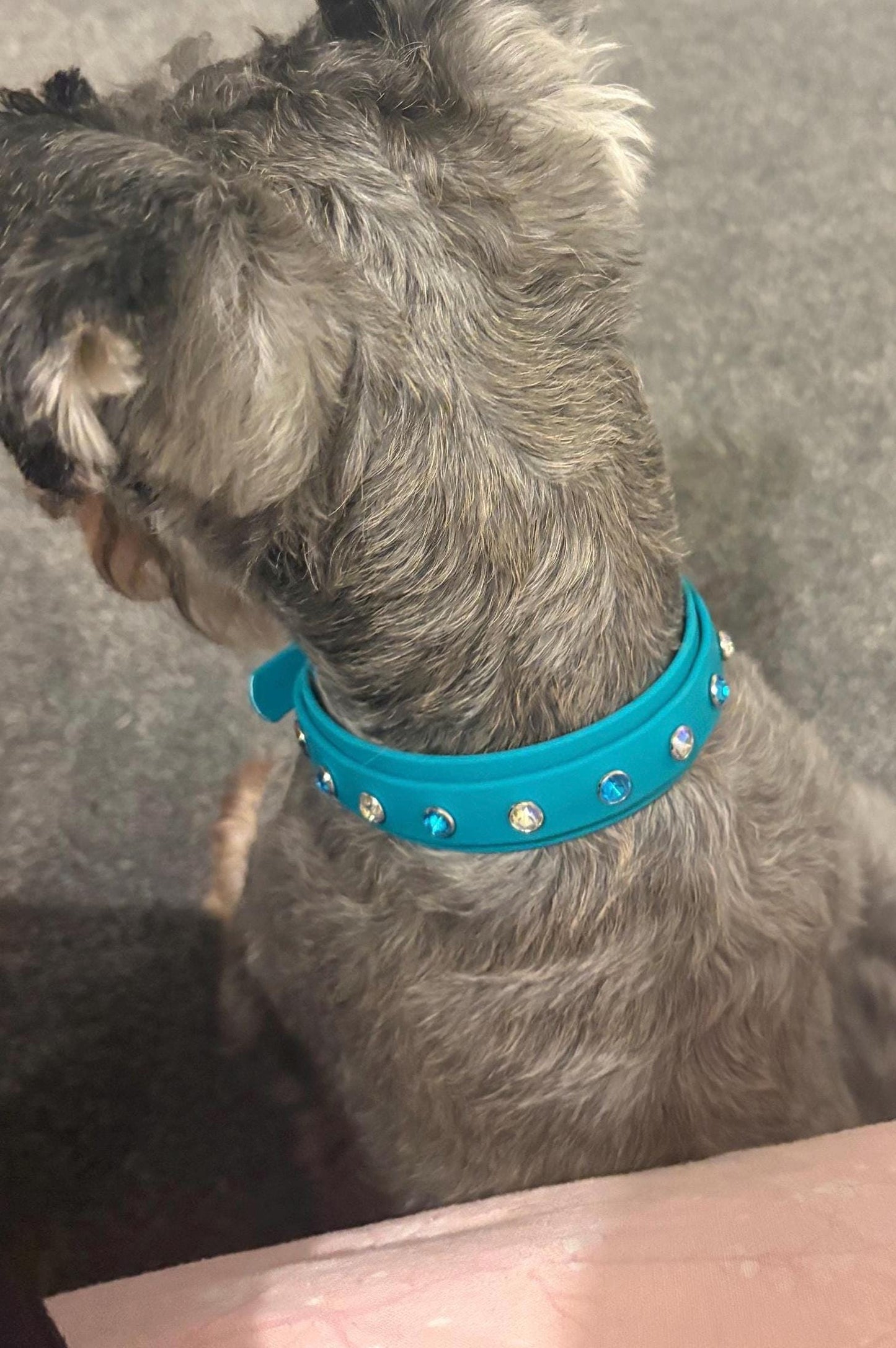 Crystal Rhinestone Diamanté Waterproof Dog Collar Turquoise with Rainbow Hardware - Sparkle Collection