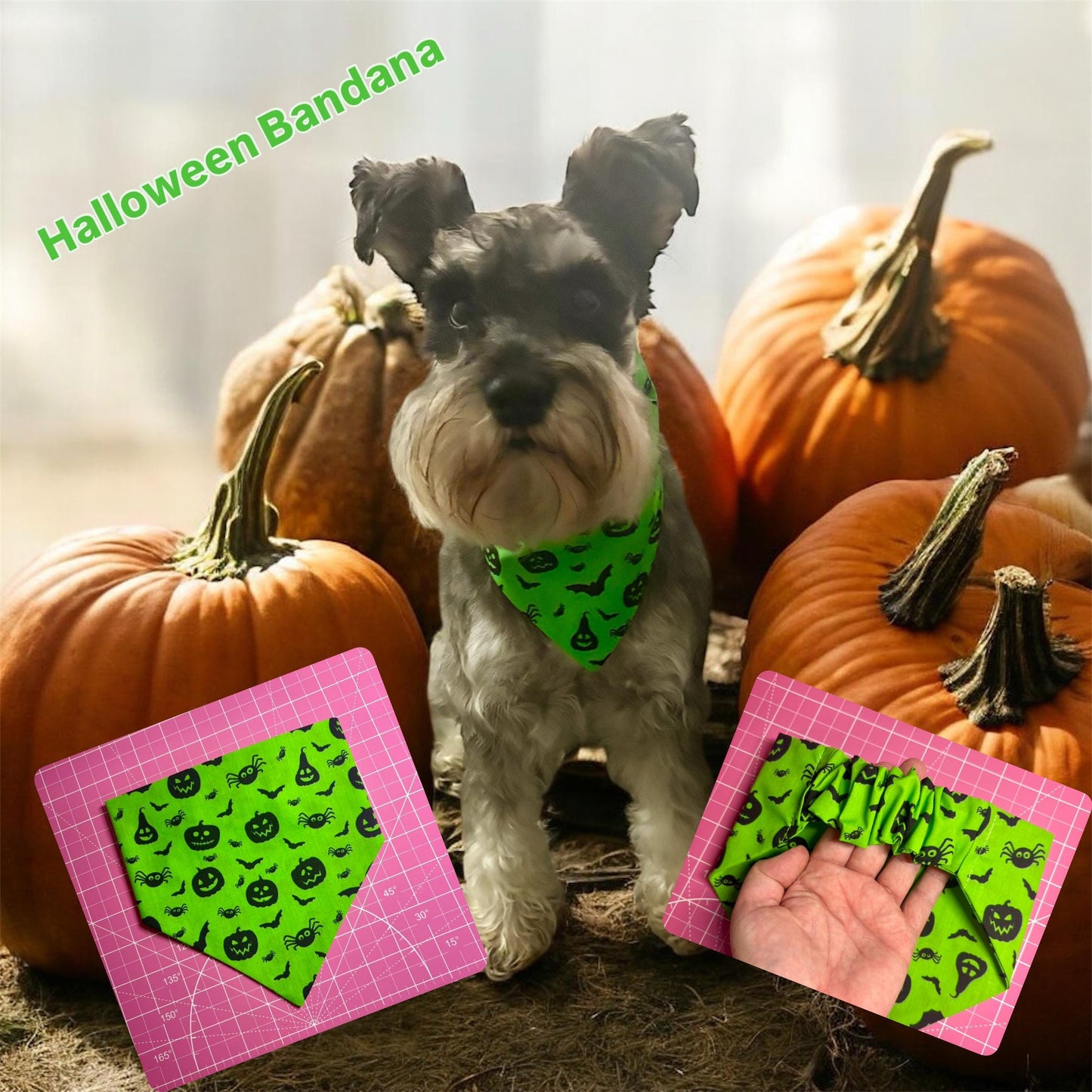 Elastic Scrunchie Dog Bandana – Neon Green Spooky Pumpkins Halloween print – Easy Slip-On Overhead Neckwear