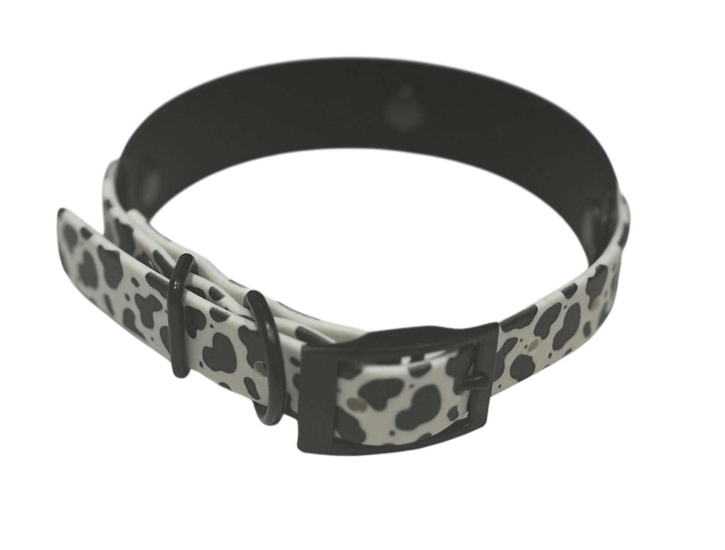 Biothane Waterproof Dog Collar Cow Print with Choice of Backing Colour and Black Hardware
