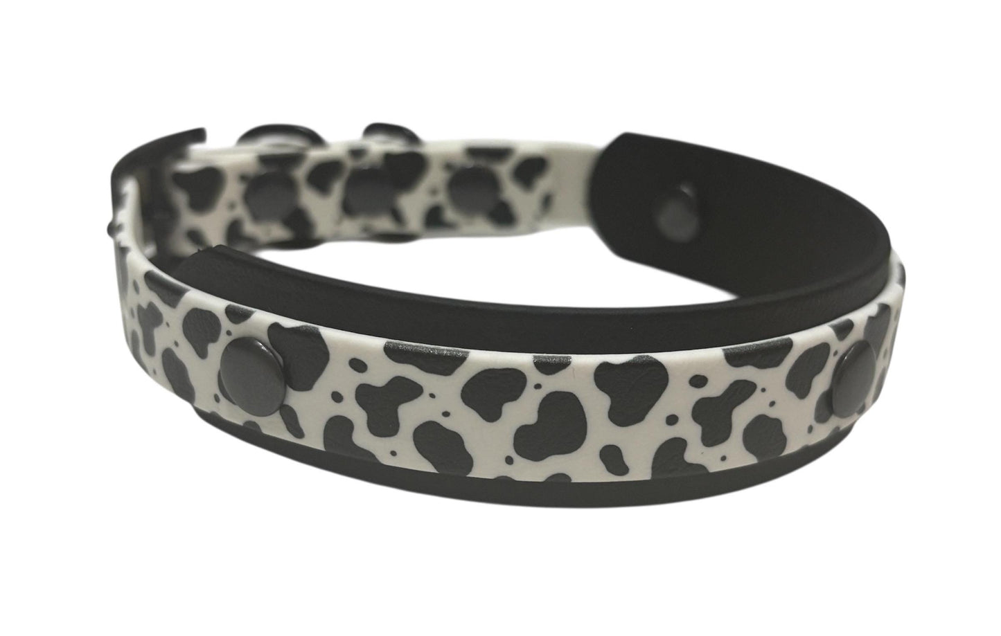 Biothane Waterproof Dog Collar Cow Print with Choice of Backing Colour and Black Hardware