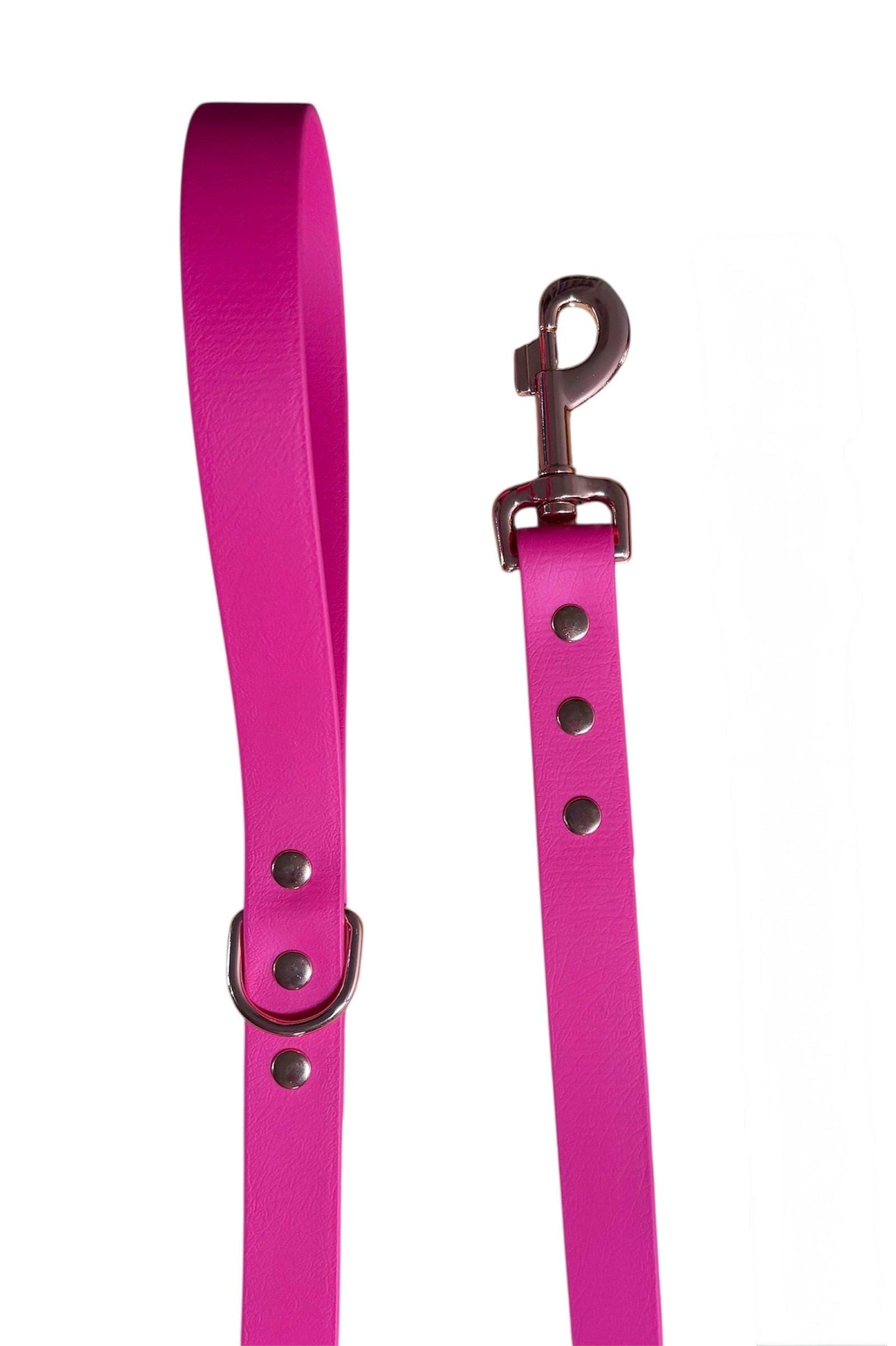 Waterproof Lead Wide (25mm Wide) Dog Lead with Choices of Colour & Chunky Hardware