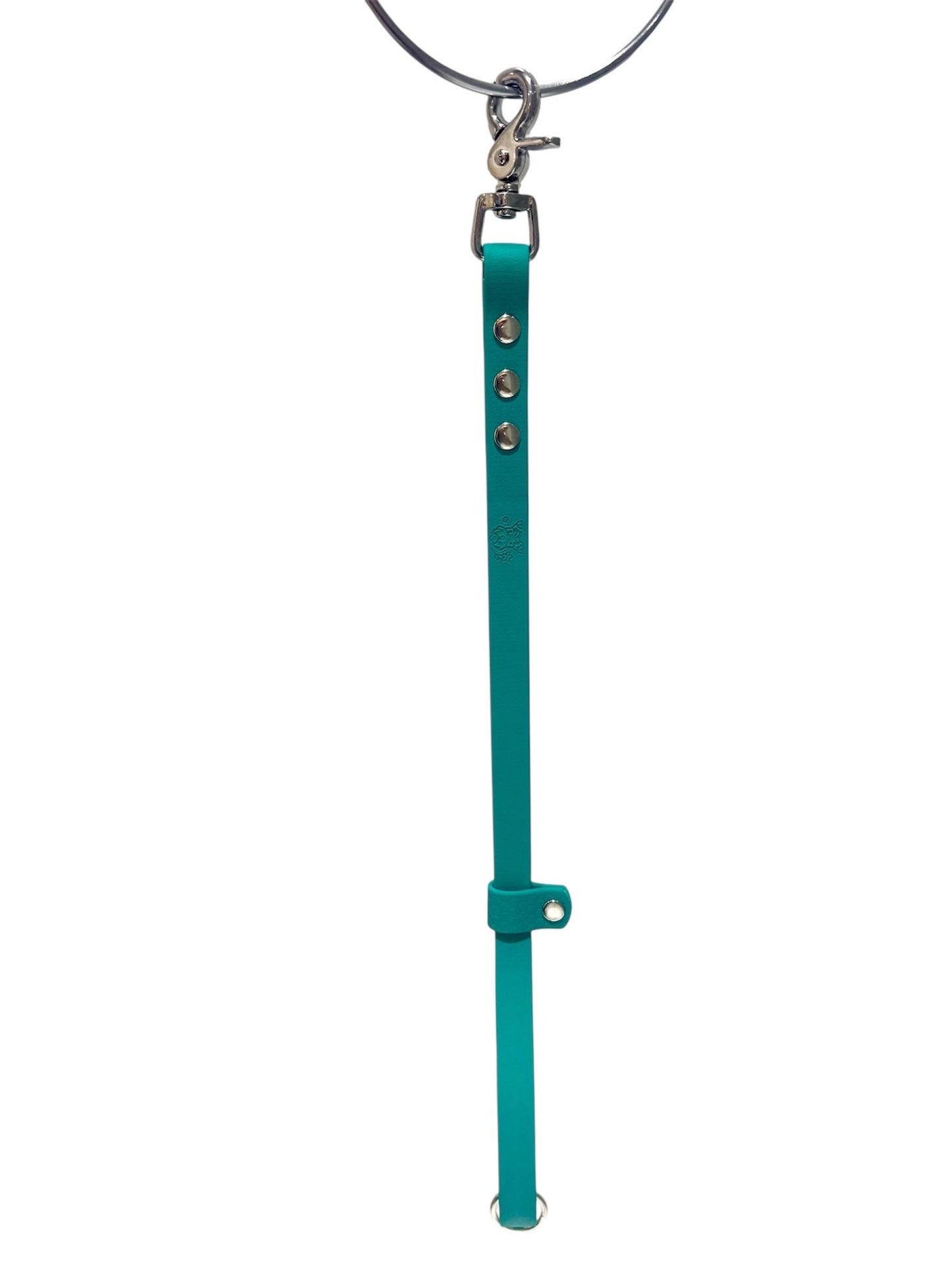Waterproof Dog Grooming Noose with Extender and Belly Strap: Easy-Clean Webbing Silver Hardware