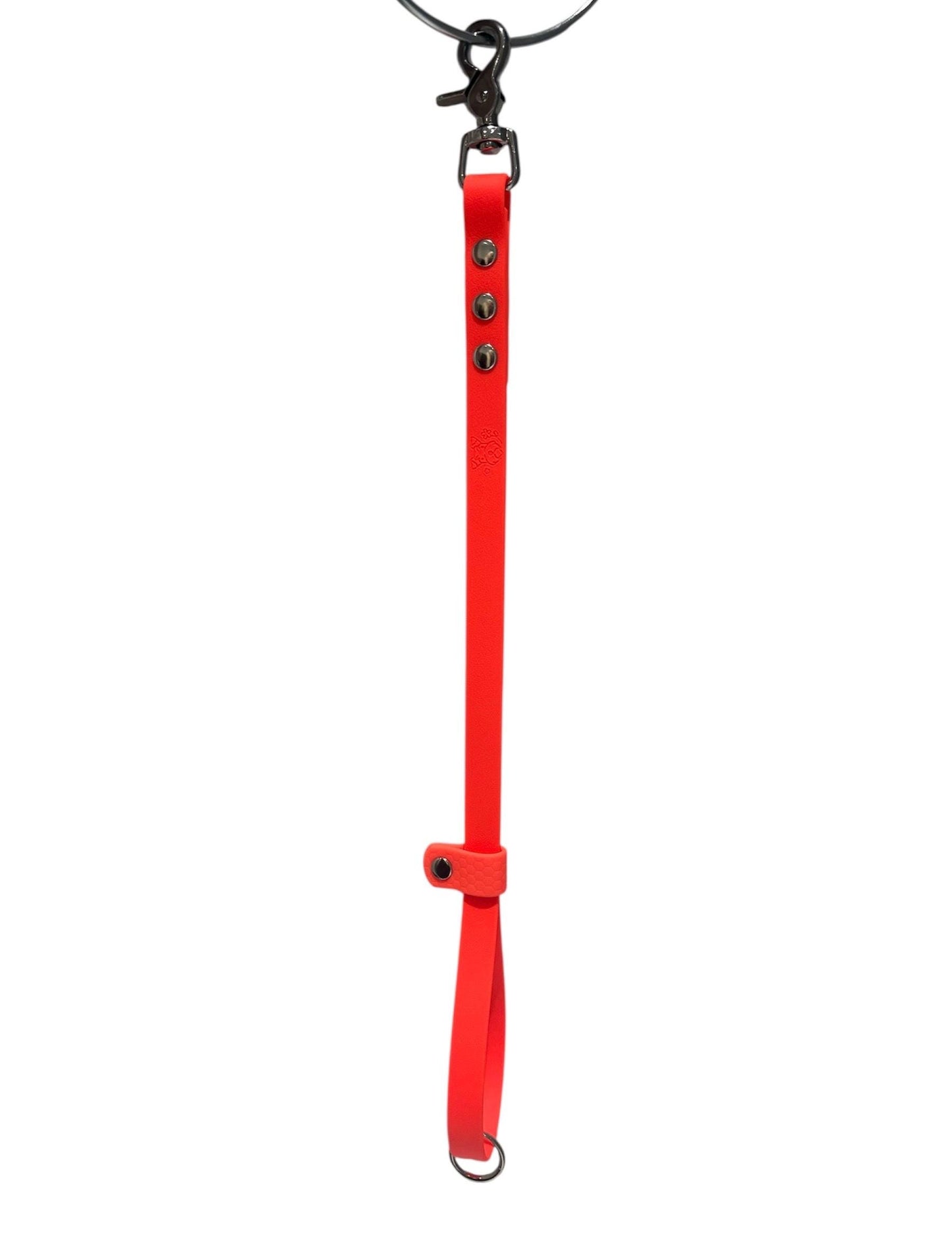 Waterproof Dog Grooming Noose with Extender and Belly Strap: Easy-Clean Webbing Silver Hardware