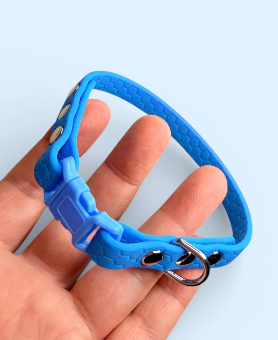 Puppy’s First Collar and Lead Set - Quick Release Collar and Lead Set: Waterproof and Lightweight Sky Blue with Silver Hardware