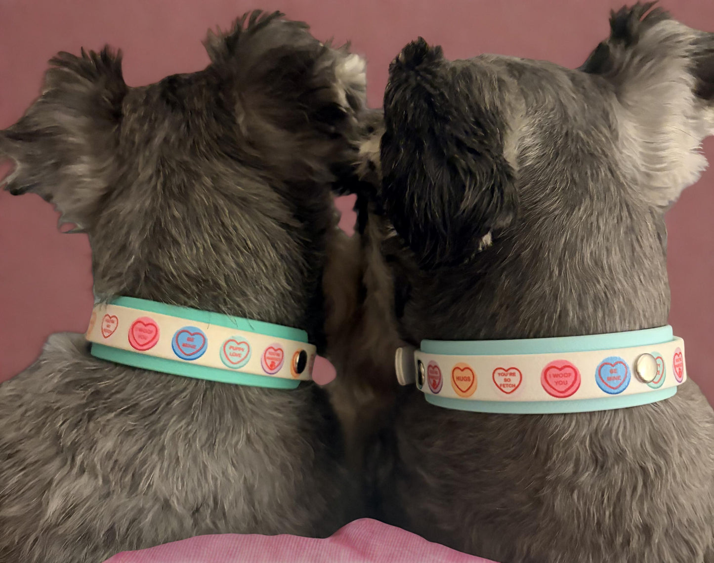 Pastel Candy Hearts Print Biothane Dog Collar: Waterproof with Silver Hardware