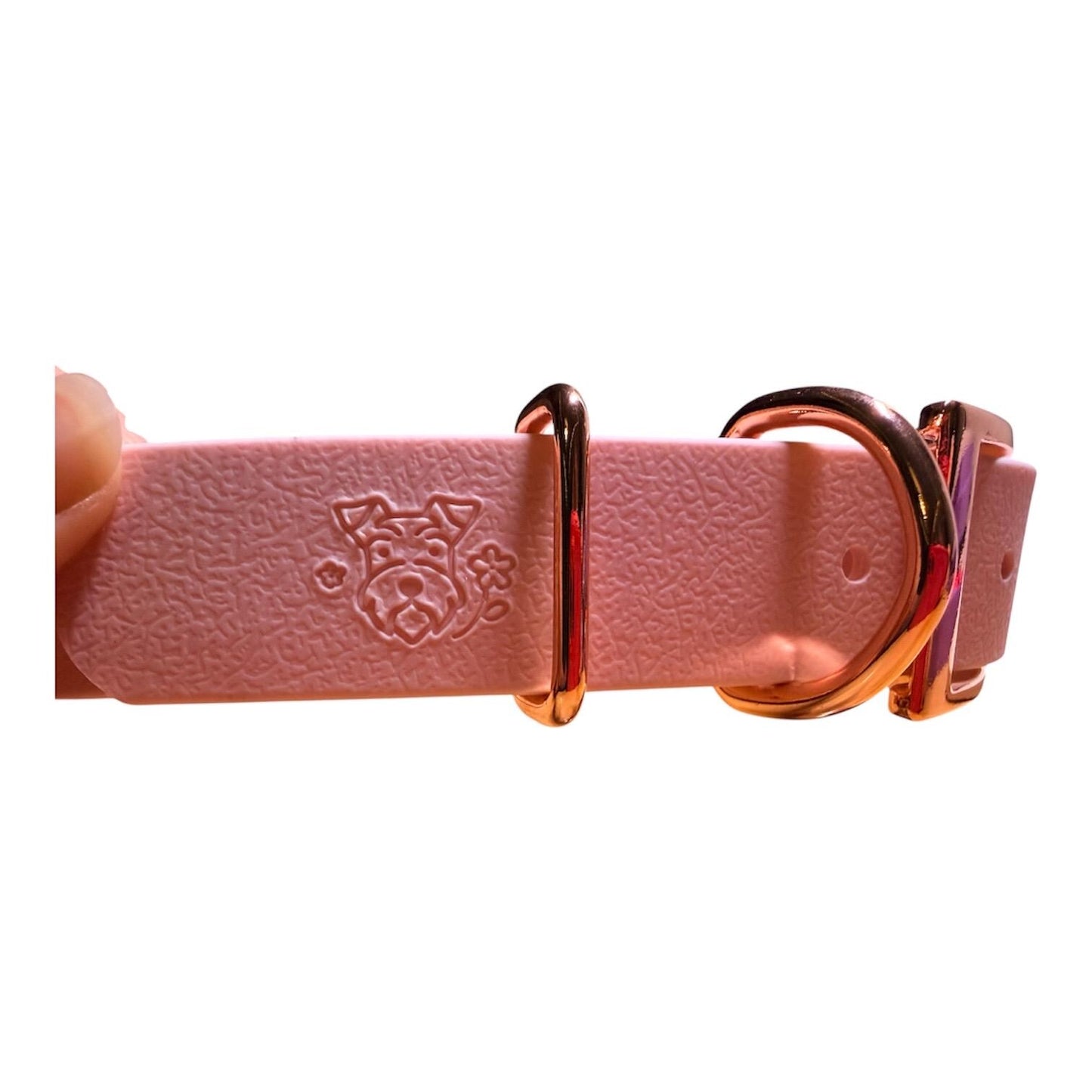 Biothane Waterproof Dog Collar Pink Sakura Cherry Blossom with Rose Gold Hardware