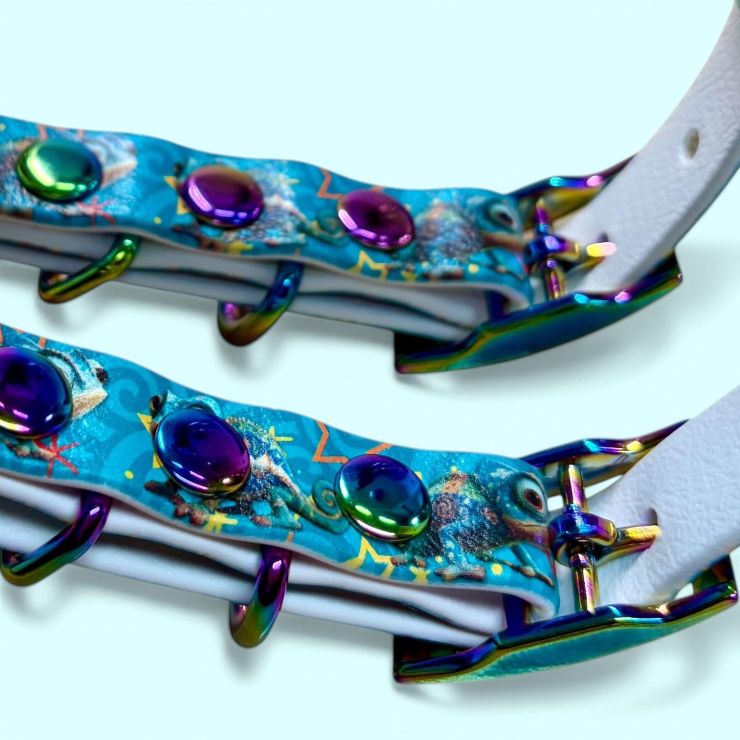 Biothane Waterproof Dog Collar Turquoise Chameleon Design with Seafoam Backing and Rainbow Hardware