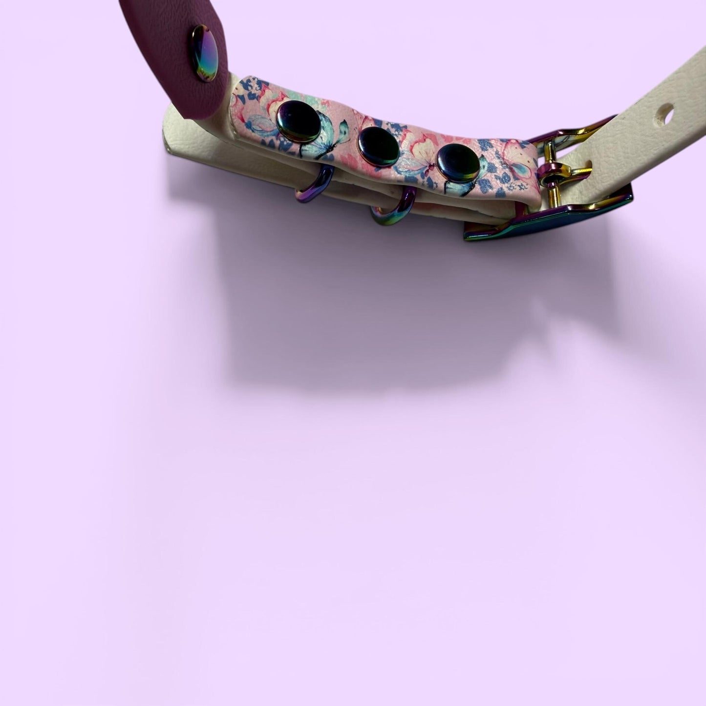Biothane Waterproof Dog Collar Pastel Butterfly Print with Lavender Backing and Rainbow Hardware