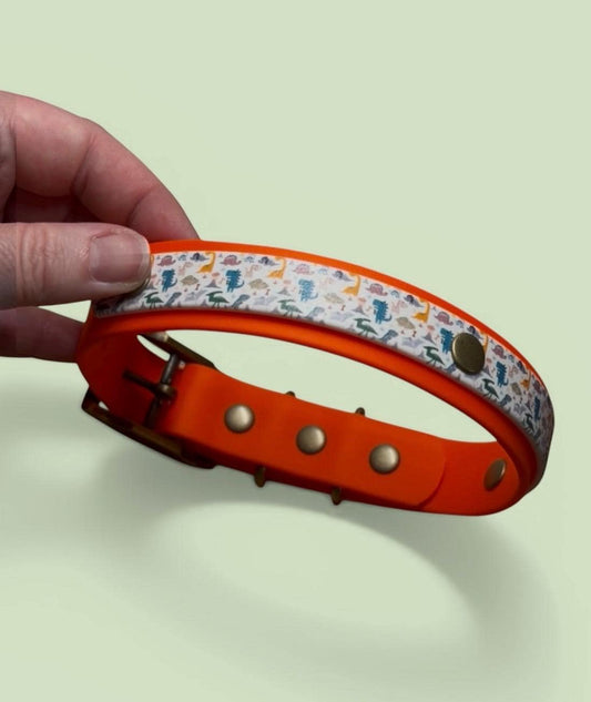 Dinosaur Biothane Dog Collar: Waterproof, Choice of Backing