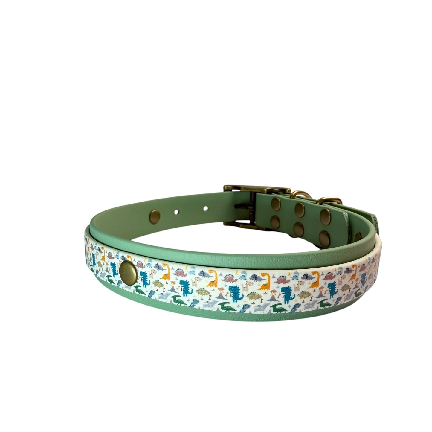 Dinosaur Biothane Dog Collar: Waterproof, Choice of Backing