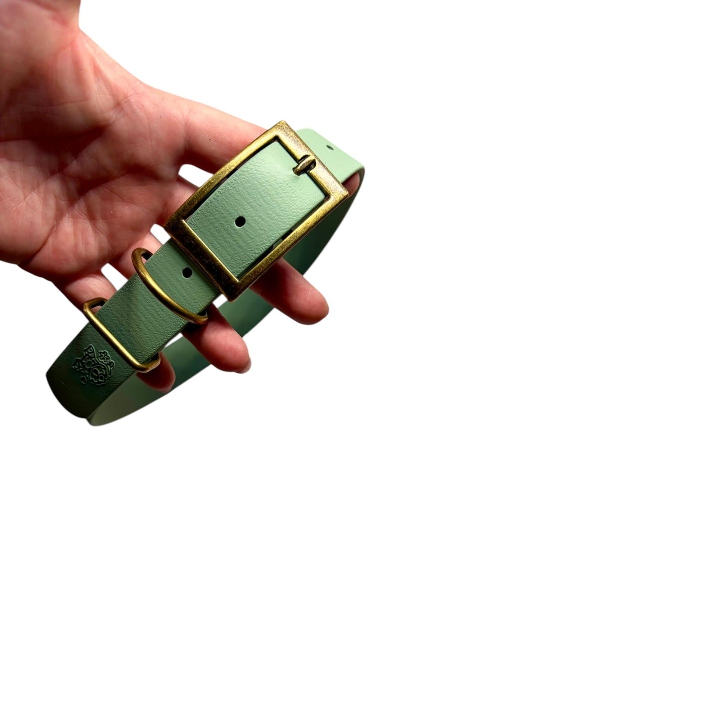 Dinosaur Biothane Dog Collar: Waterproof, Choice of Backing