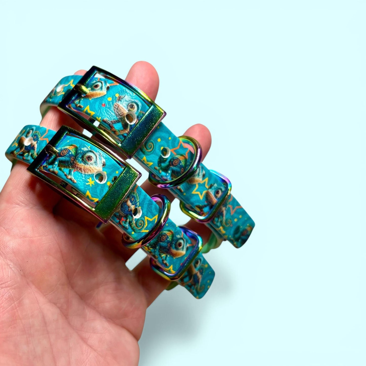 Biothane Waterproof Dog Collar Turquoise Chameleon Design with Seafoam Backing and Rainbow Hardware