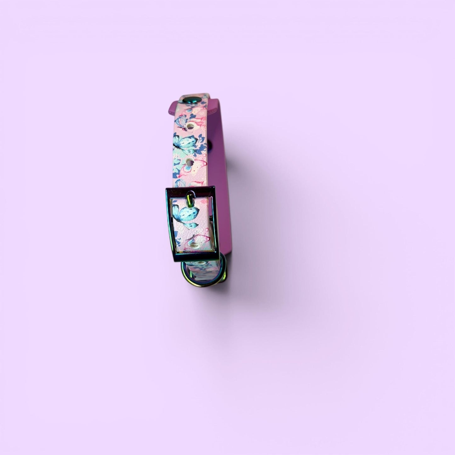 Biothane Waterproof Dog Collar Pastel Butterfly Print with Lavender Backing and Rainbow Hardware