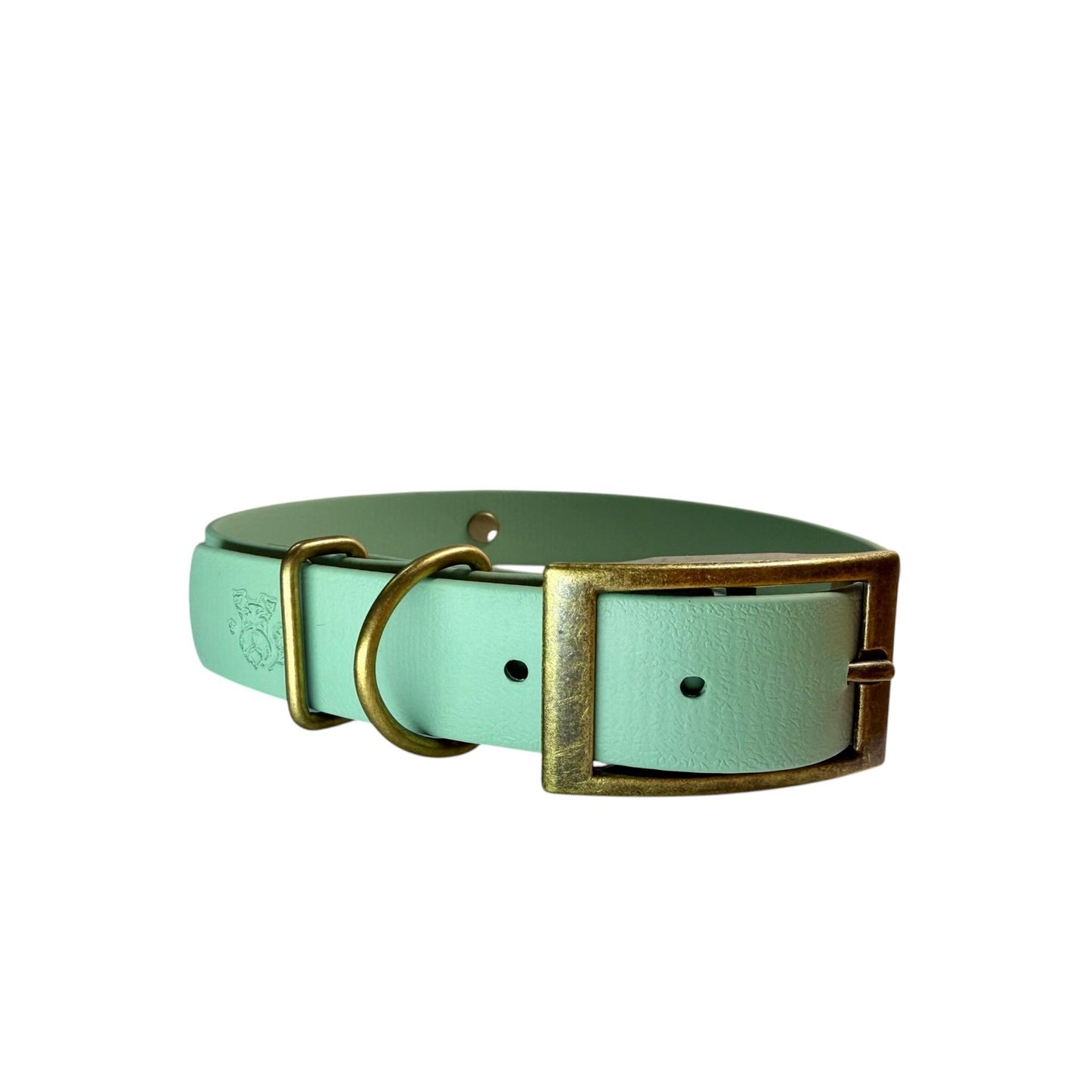 Dinosaur Biothane Dog Collar: Waterproof, Choice of Backing