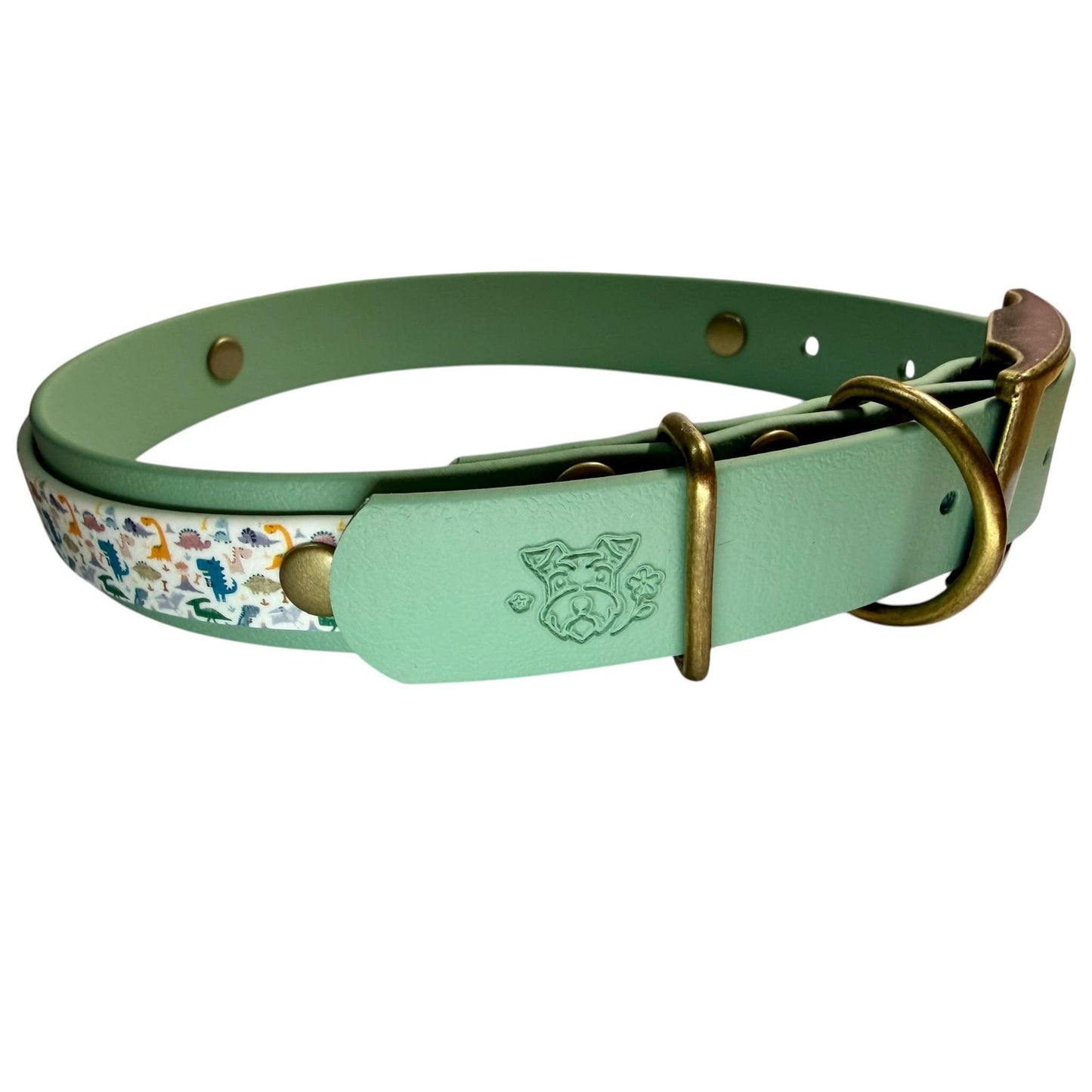 Dinosaur Biothane Dog Collar: Waterproof, Choice of Backing