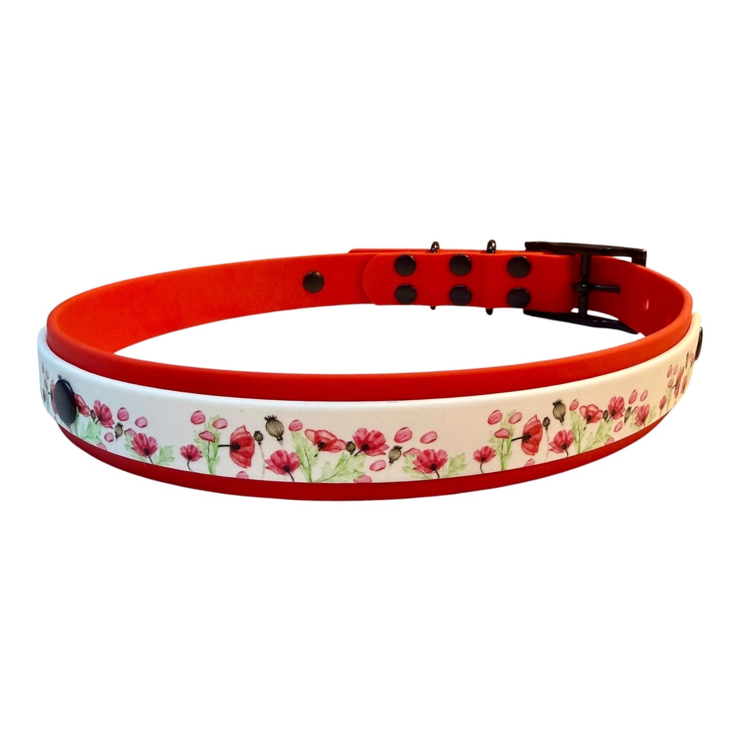 Biothane Waterproof Poppy Print Dog Collar with Red Backing and Black Hardware