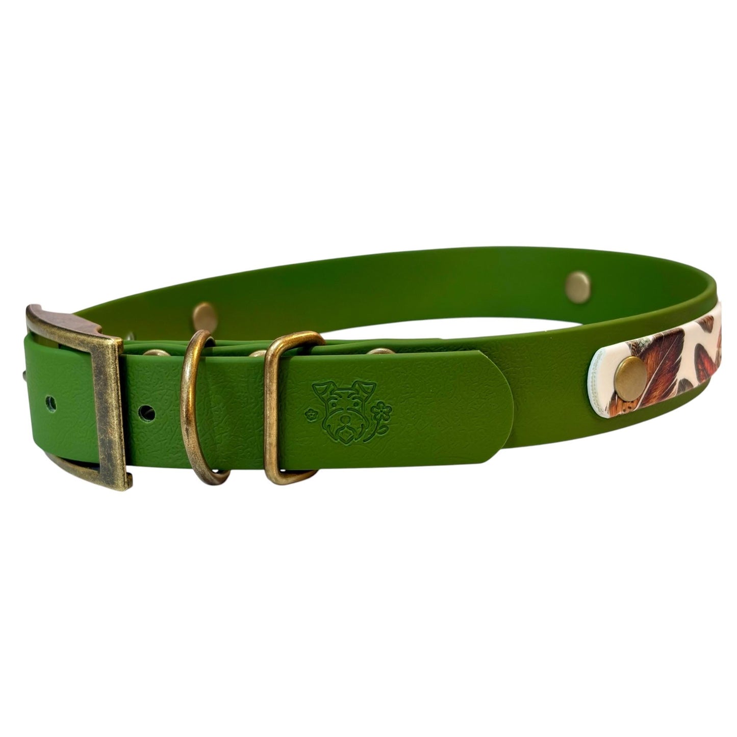 Feathers UV Printed Biothane Dog Collar: Waterproof with Antique Brass Hardware
