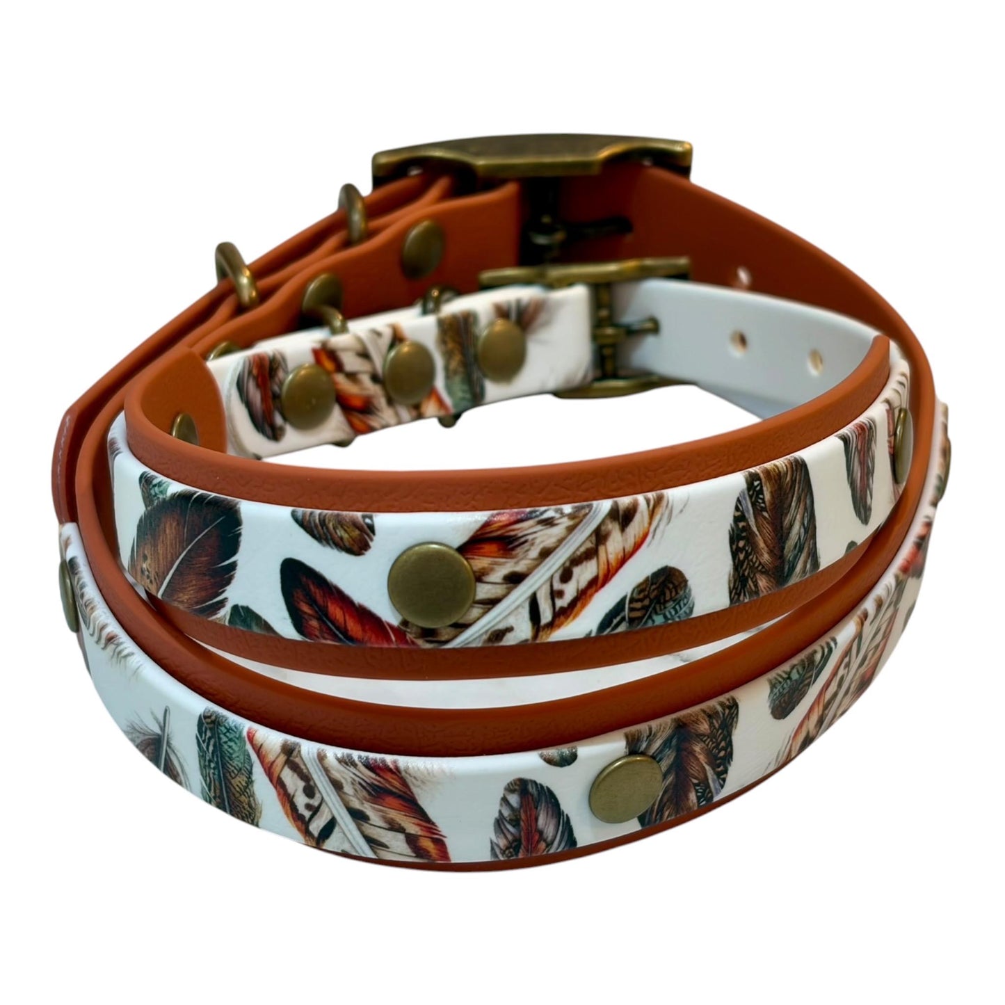 Feathers UV Printed Biothane Dog Collar: Waterproof with Antique Brass Hardware