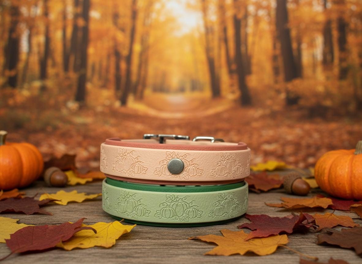 Embossed Pumpkin Dog Collar, Waterproof Fall Autumn Webbing, Antique Brass Hardware