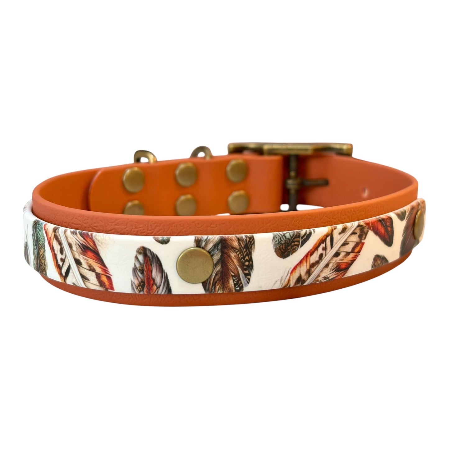 Feathers UV Printed Biothane Dog Collar: Waterproof with Antique Brass Hardware