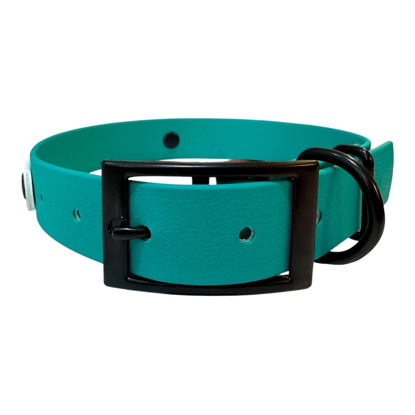 Waterproof Dog Collar Surf Board Printed Biothane Design with Turquoise Backing and Black Hardware