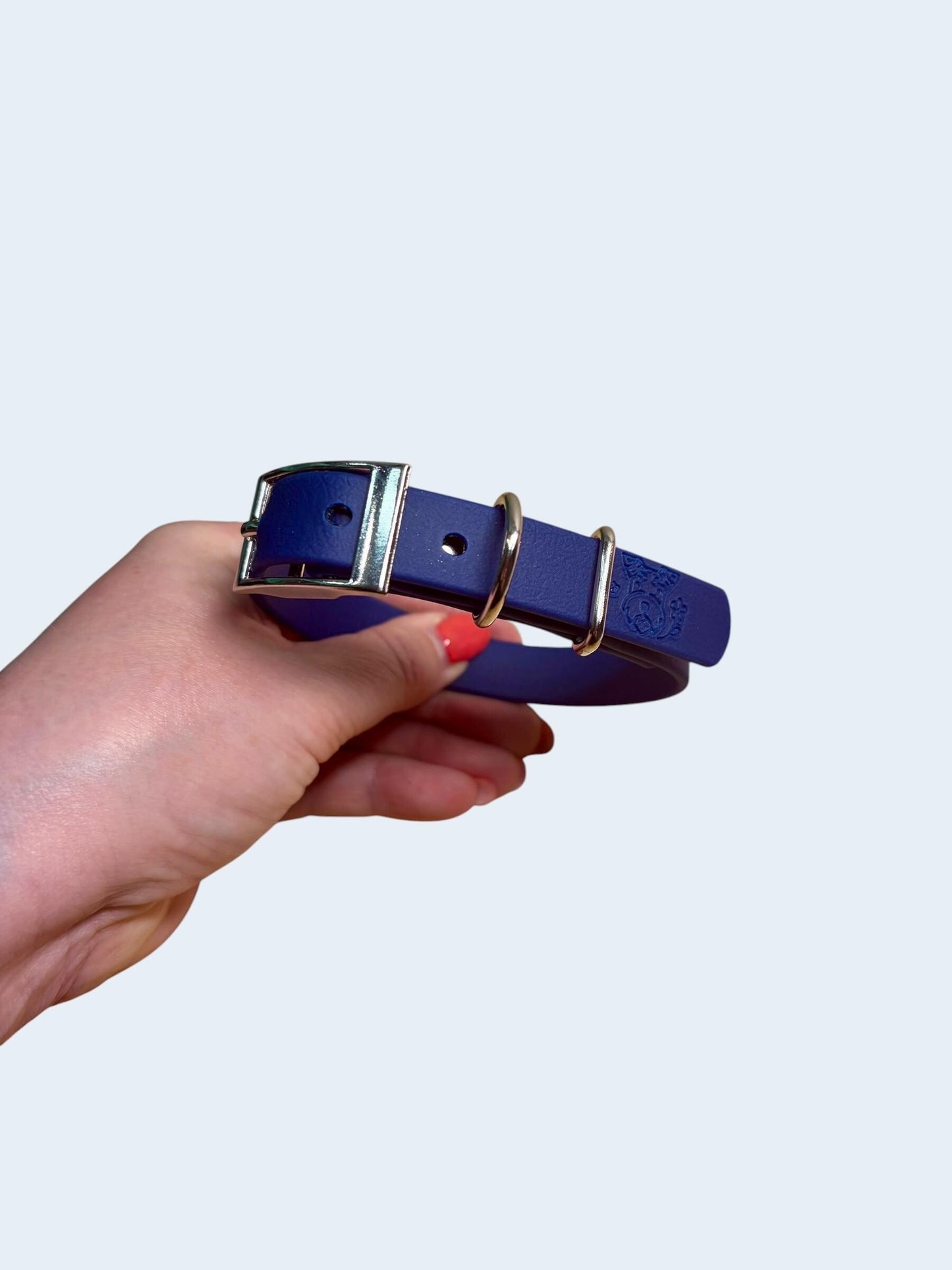 Waterproof Dog Collar - Choose Your Colour and Hardware