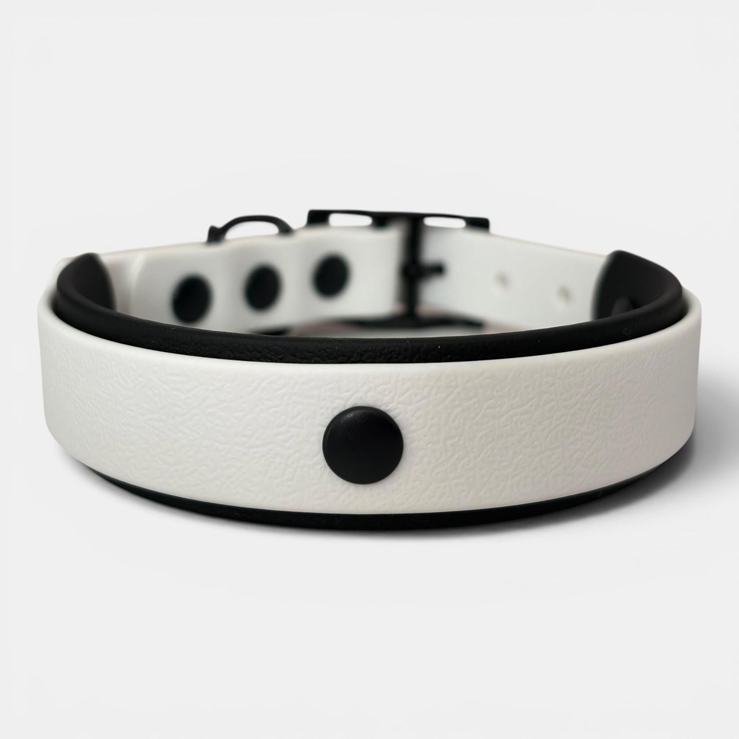 Wedding Dog Collar, Lead & Dickie Bow Set | Best Man Dog Outfit | Groomsman Dog Accessories | Formal Dog Wedding Attire