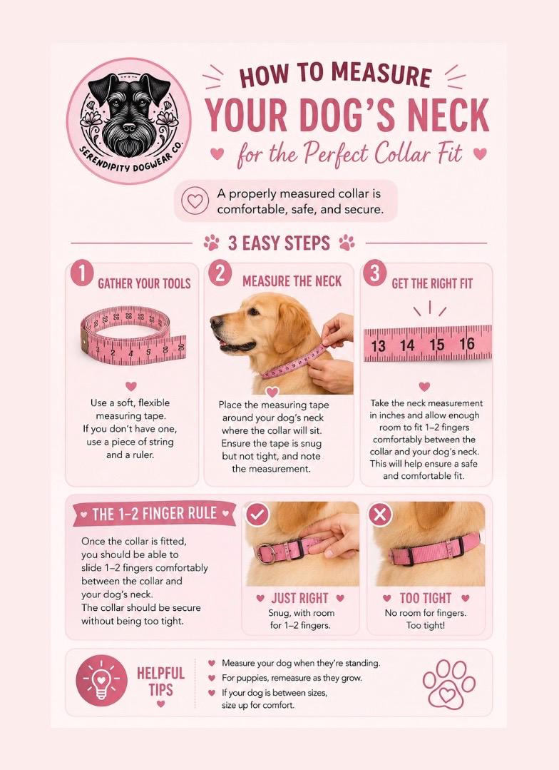 Pastel Candy Hearts Print Biothane Dog Collar: Waterproof with Silver Hardware