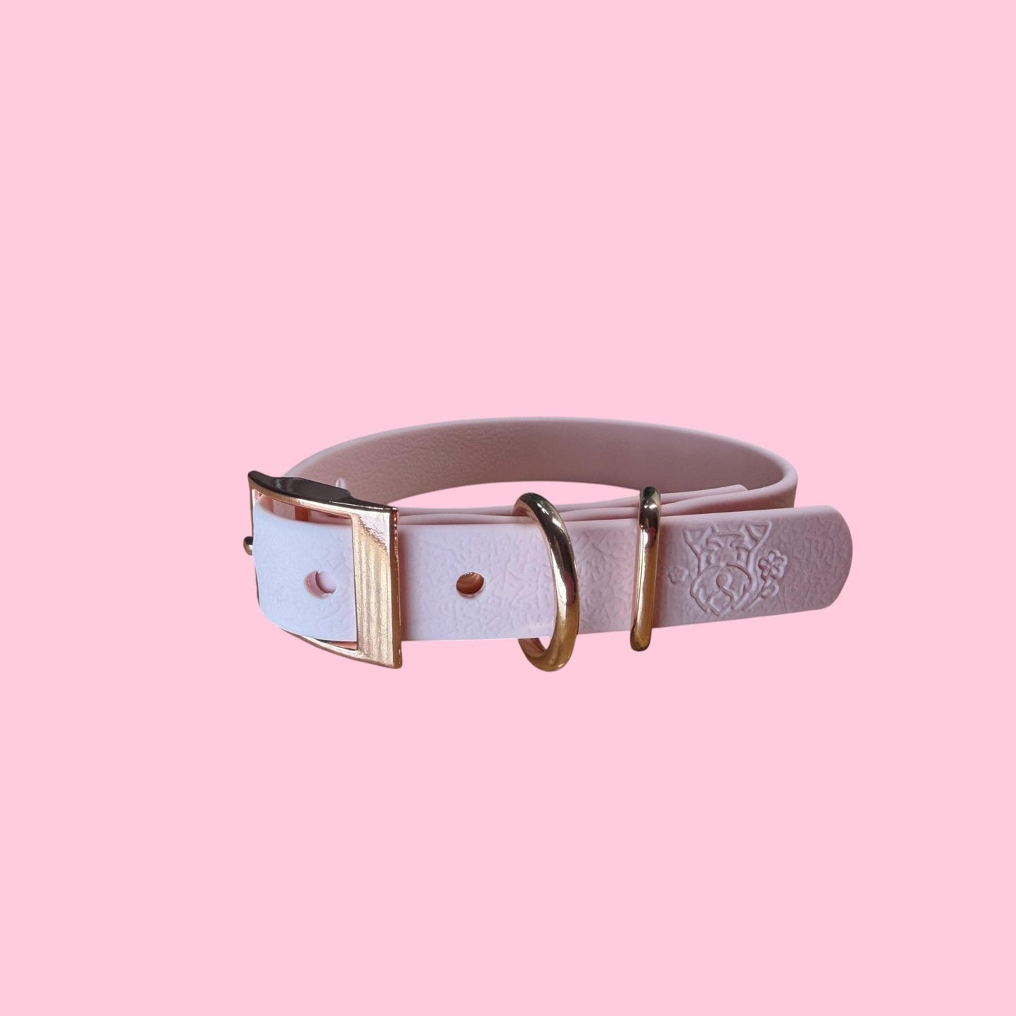 Waterproof Dog Collar - Choose Your Colour and Hardware