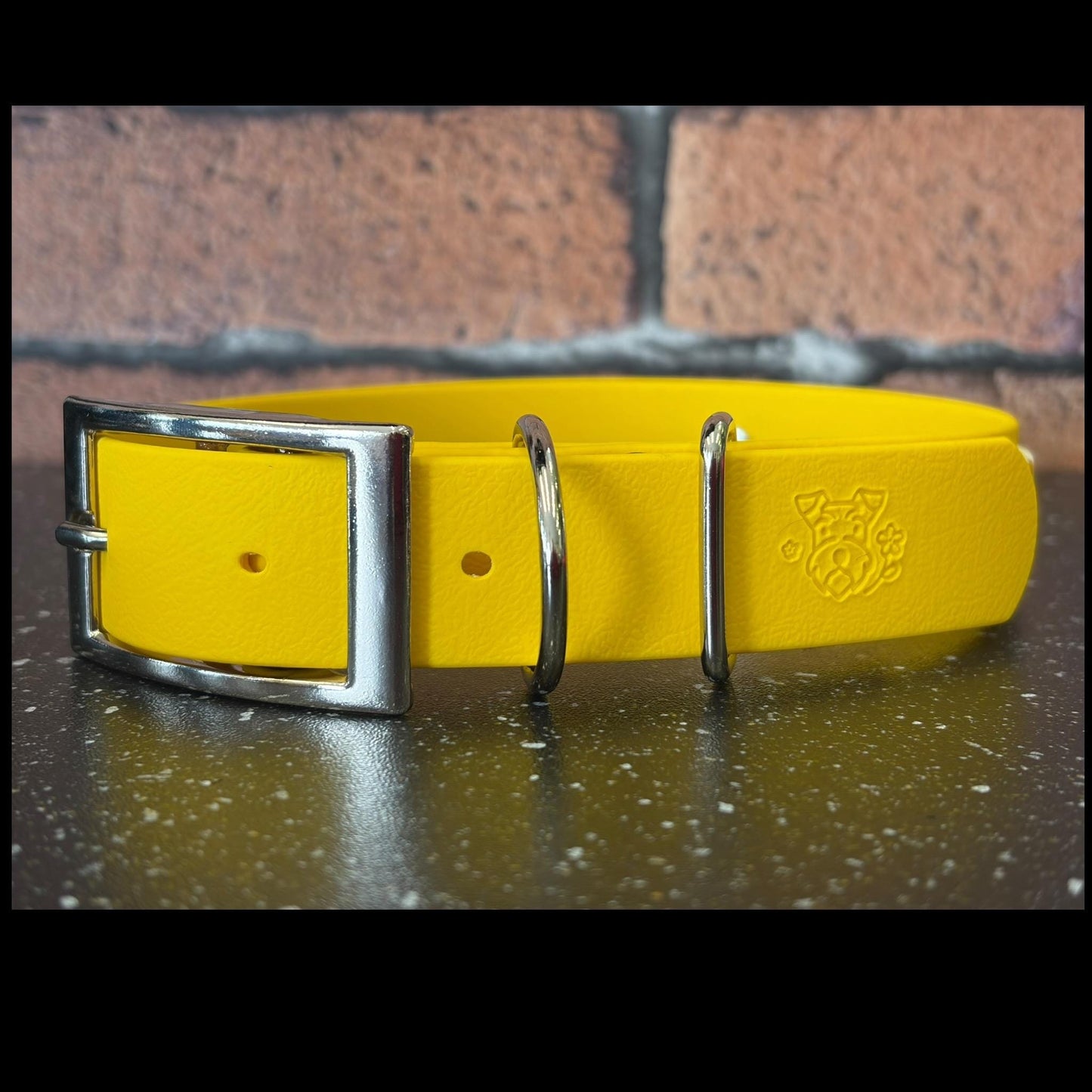 Waterproof Dog Collar Rubber Ducky Printed Biothane with Choice of Backing Colour and Silver Hardware