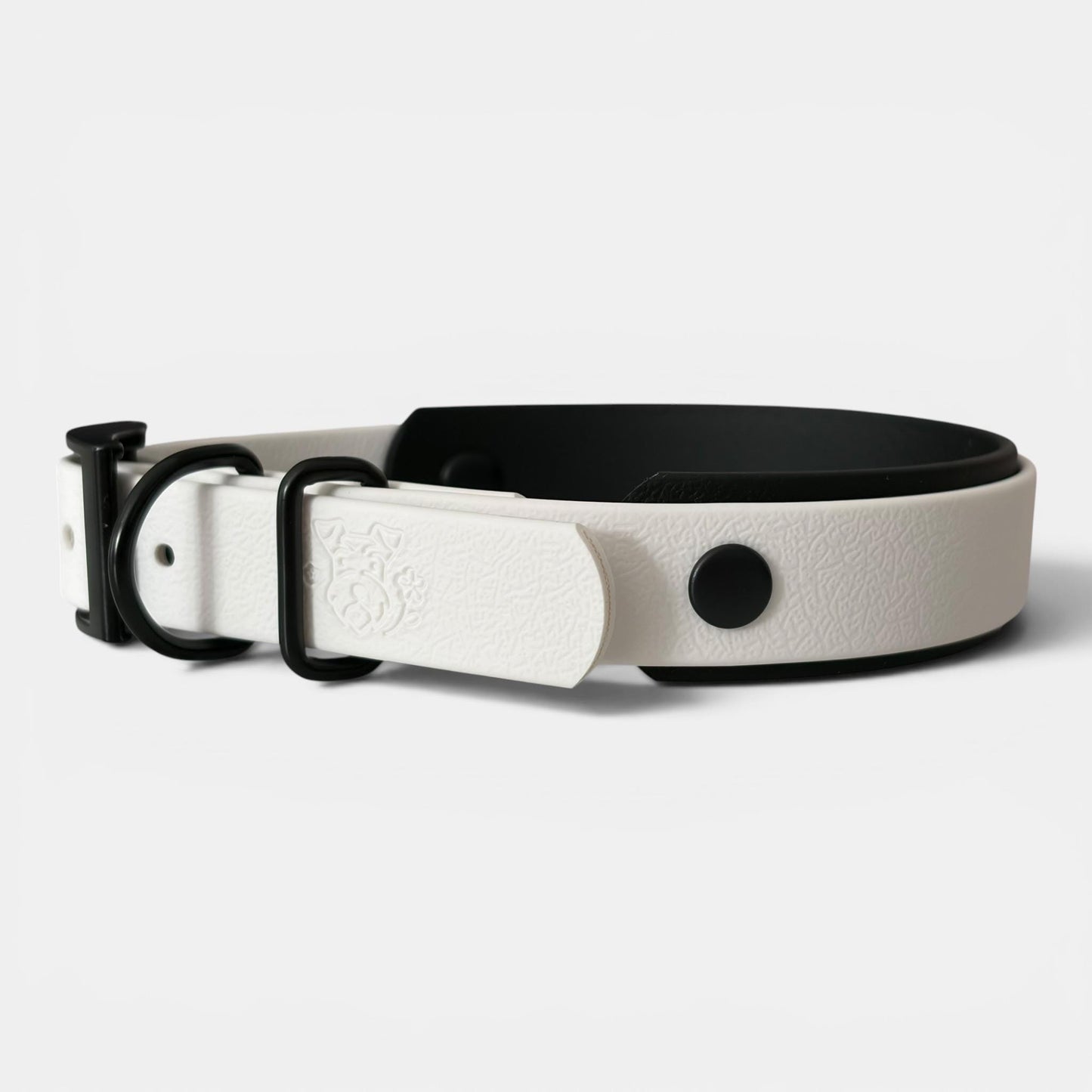 Wedding Dog Collar, Lead & Dickie Bow Set | Best Man Dog Outfit | Groomsman Dog Accessories | Formal Dog Wedding Attire