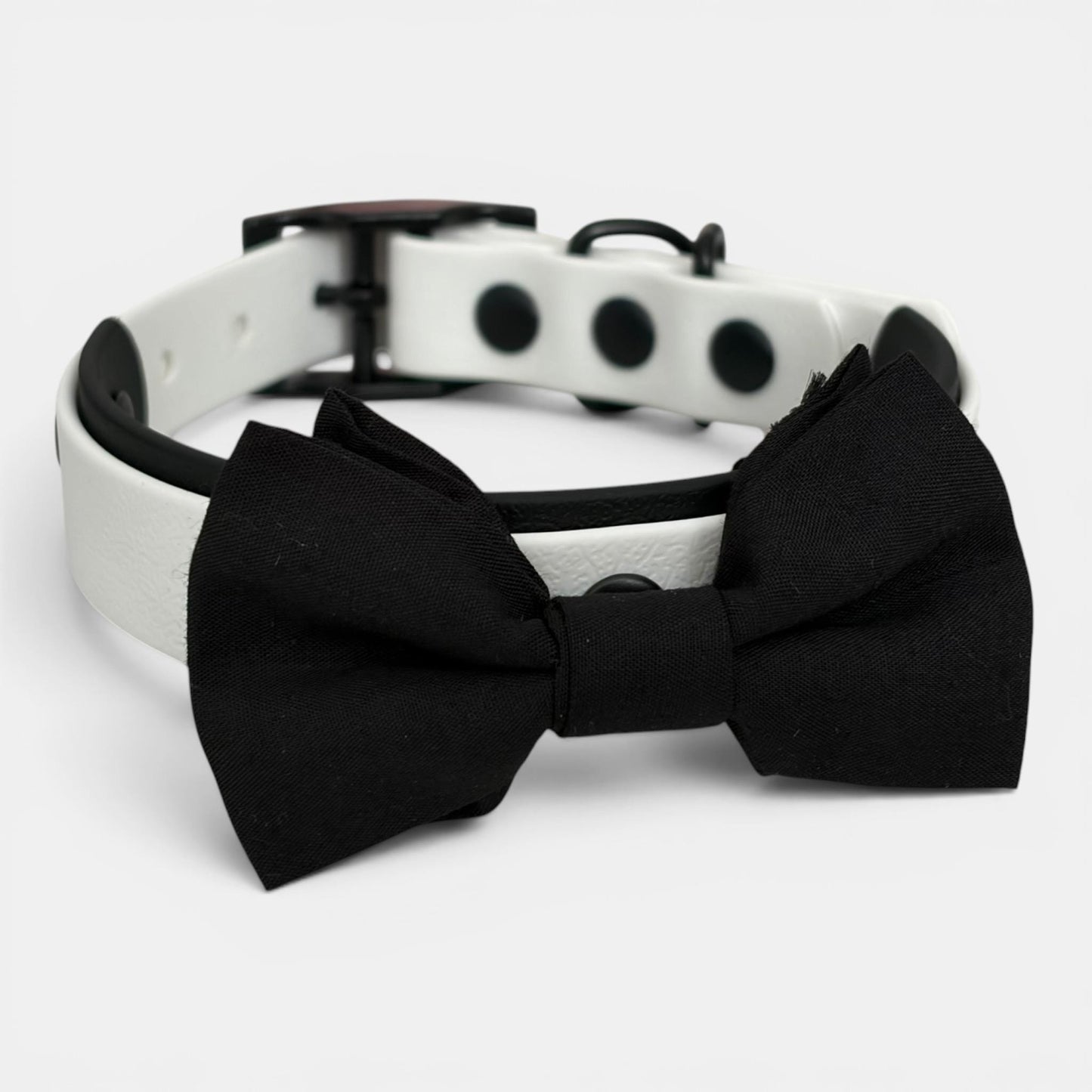 Wedding Dog Collar, Lead & Dickie Bow Set | Best Man Dog Outfit | Groomsman Dog Accessories | Formal Dog Wedding Attire