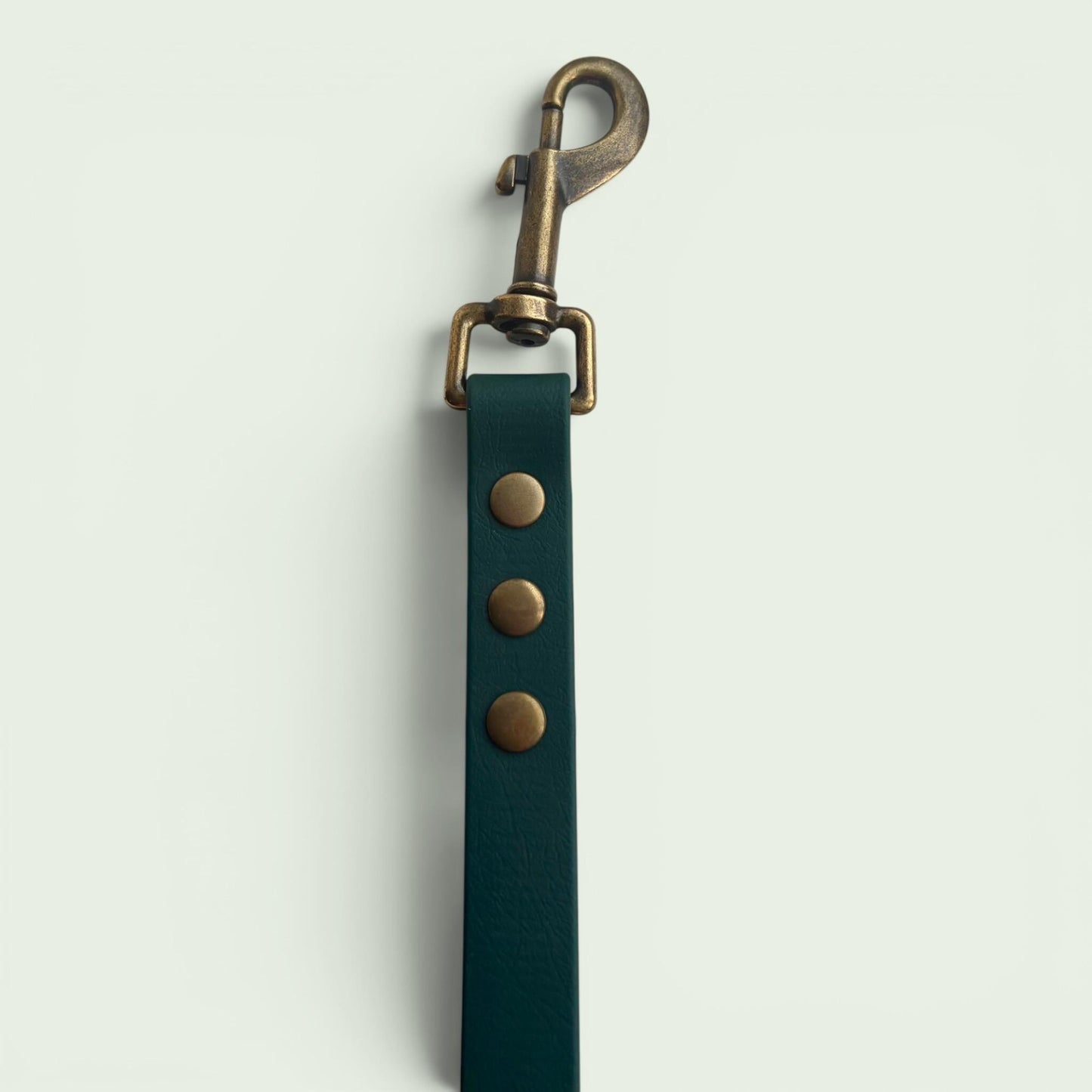 Forest Green Biothane Dog Lead: Classic Lead or 2m Training Lead Waterproof with Antique Brass Hardware