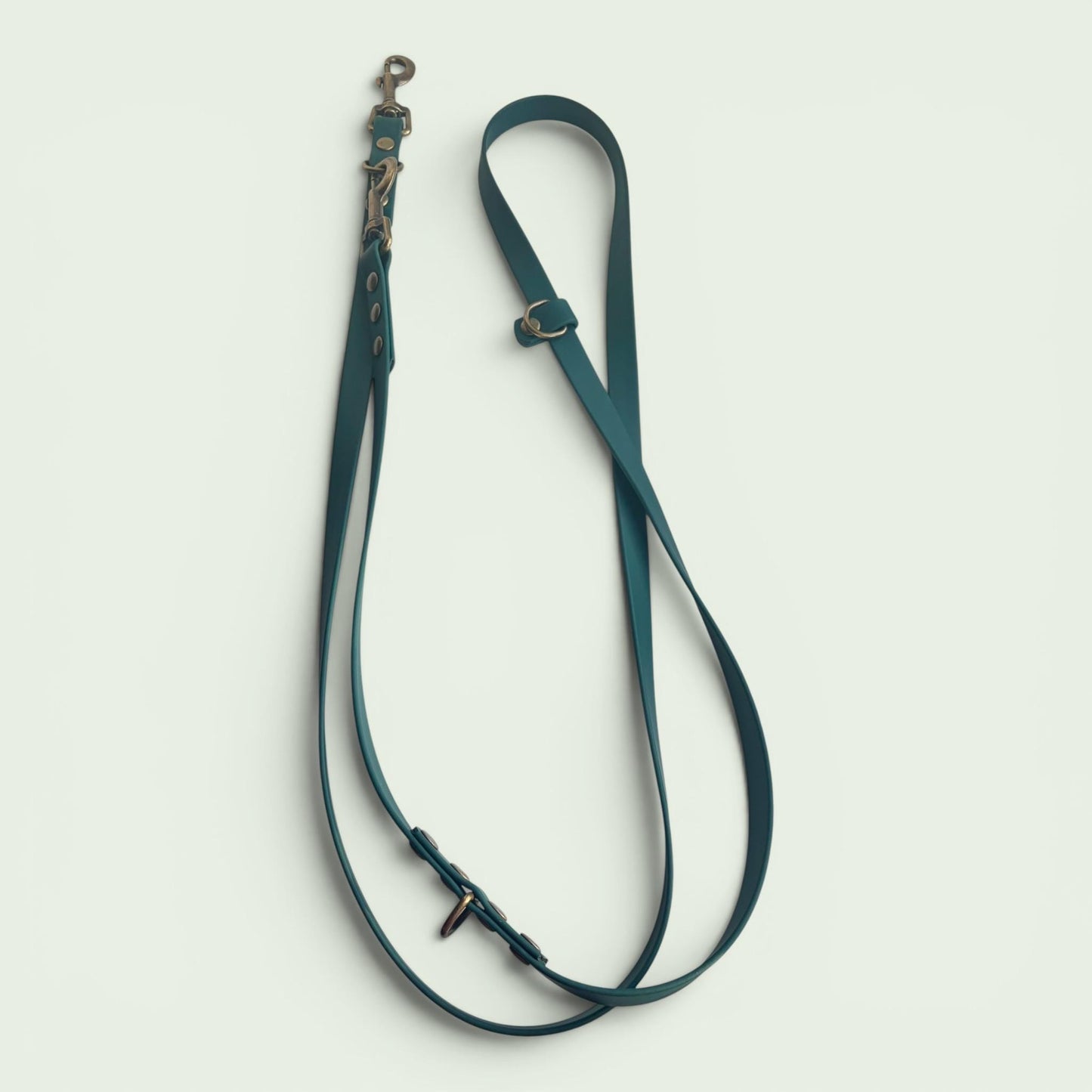 Forest Green Biothane Dog Lead: Classic Lead or 2m Training Lead Waterproof with Antique Brass Hardware