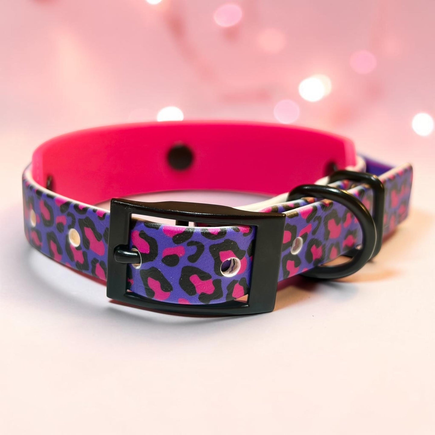Biothane Waterproof Dog Collar Pink and Purple Leopard Print Design with Black Hardware