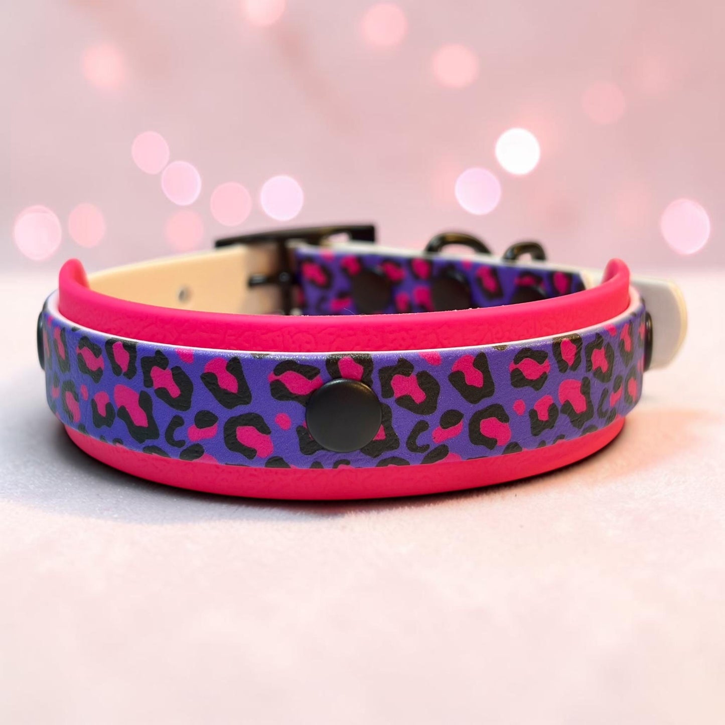 Biothane Waterproof Dog Collar Pink and Purple Leopard Print Design with Black Hardware